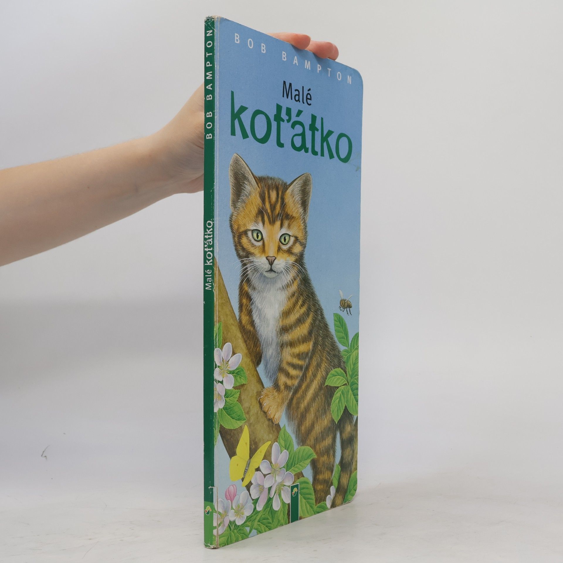 Bob Bampton Malé koťátko