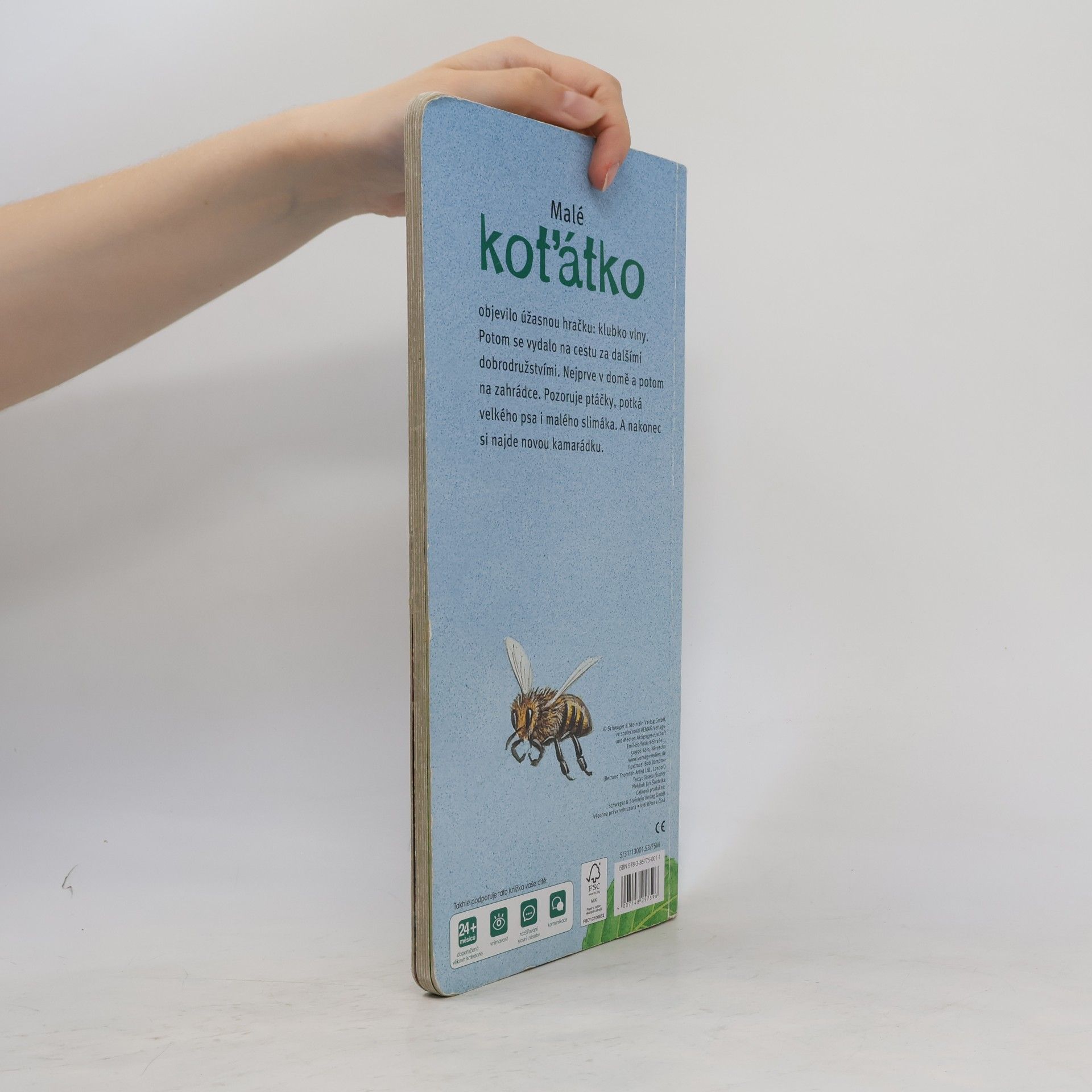 Bob Bampton Malé koťátko