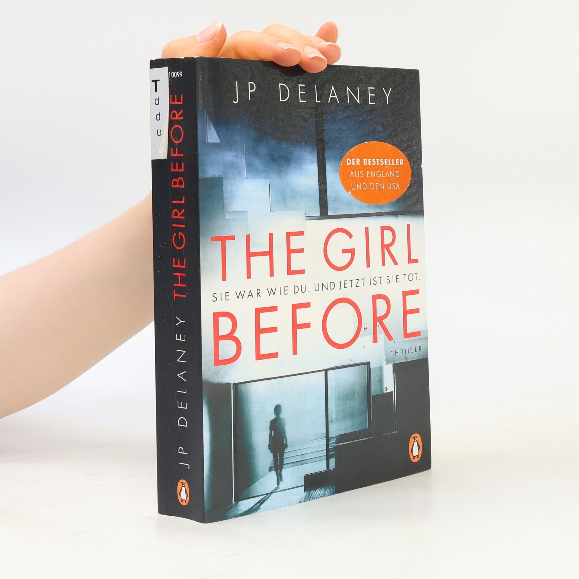 The Girl Before