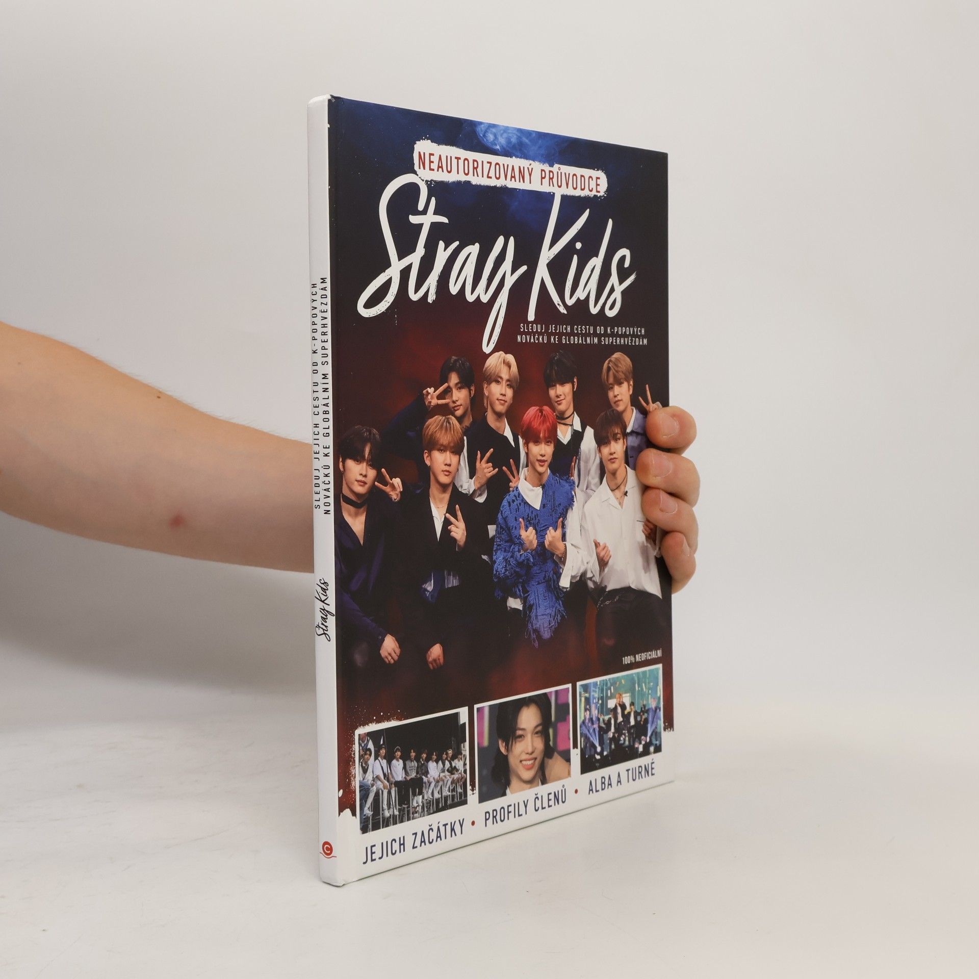 Collectif d'auteurs Stray Kids