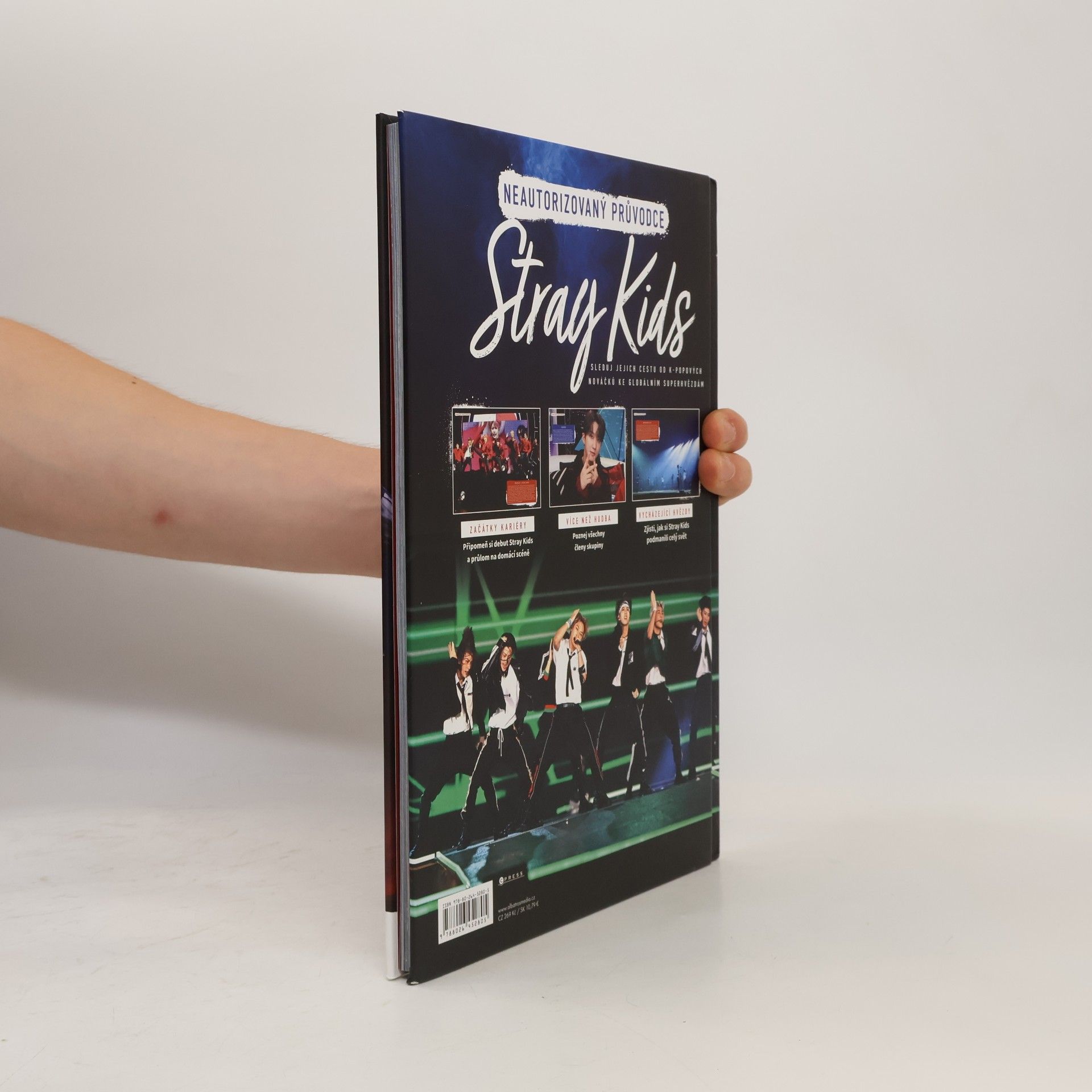 Autorenkollektiv Stray Kids
