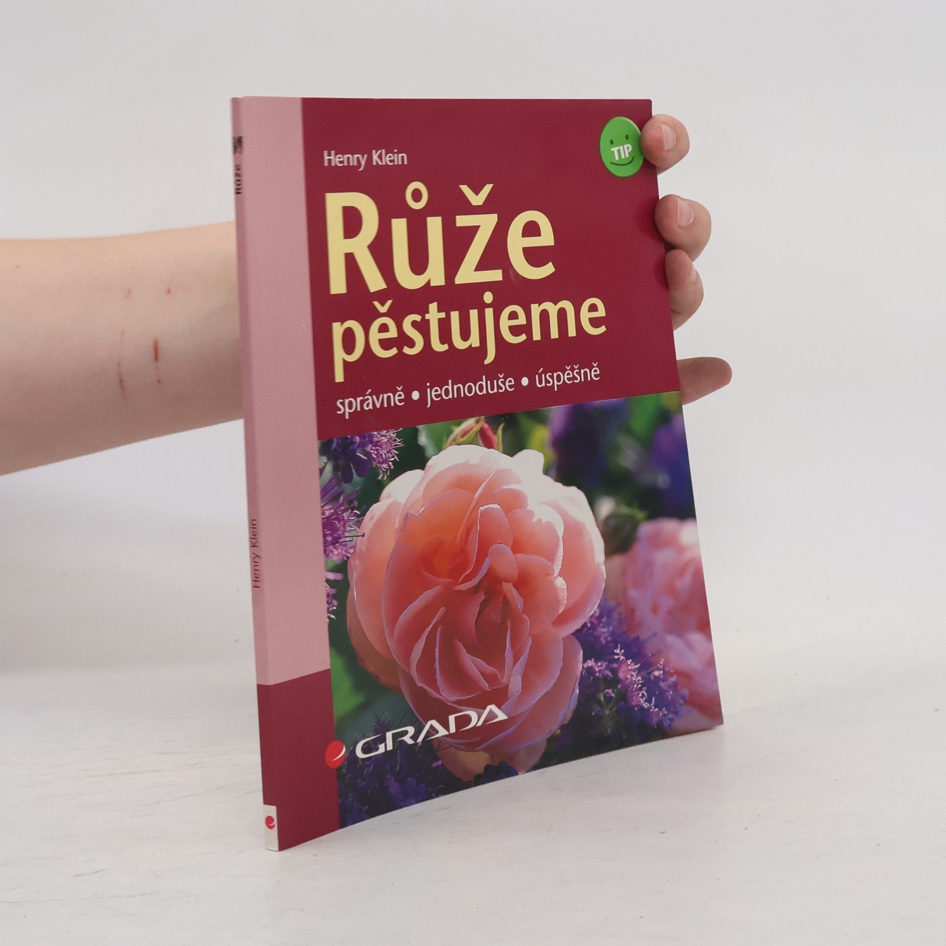 Henry Klein Růže pěstujeme: Správně, jednoduše, úspěšně