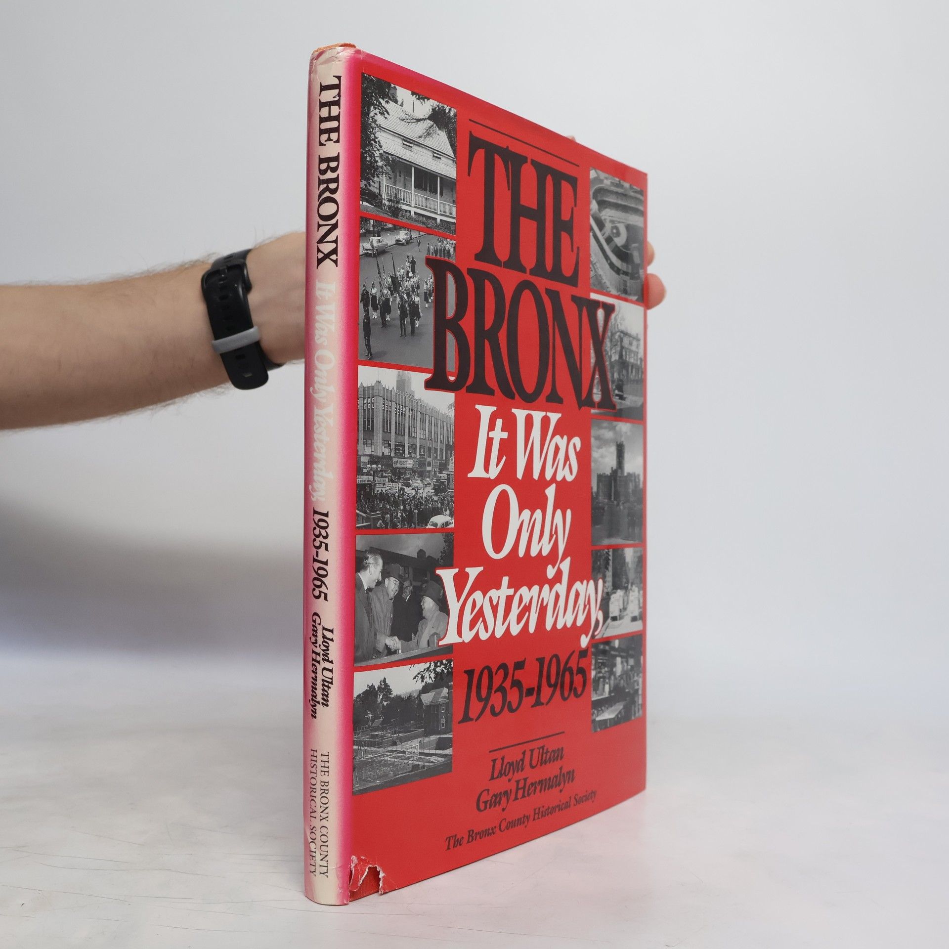 Life in the Bronx Series: The Bronx
