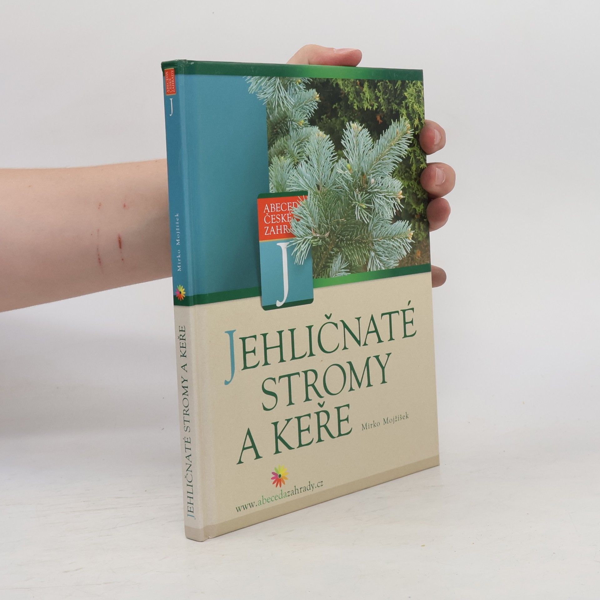 Jehličnaté stromy a keře