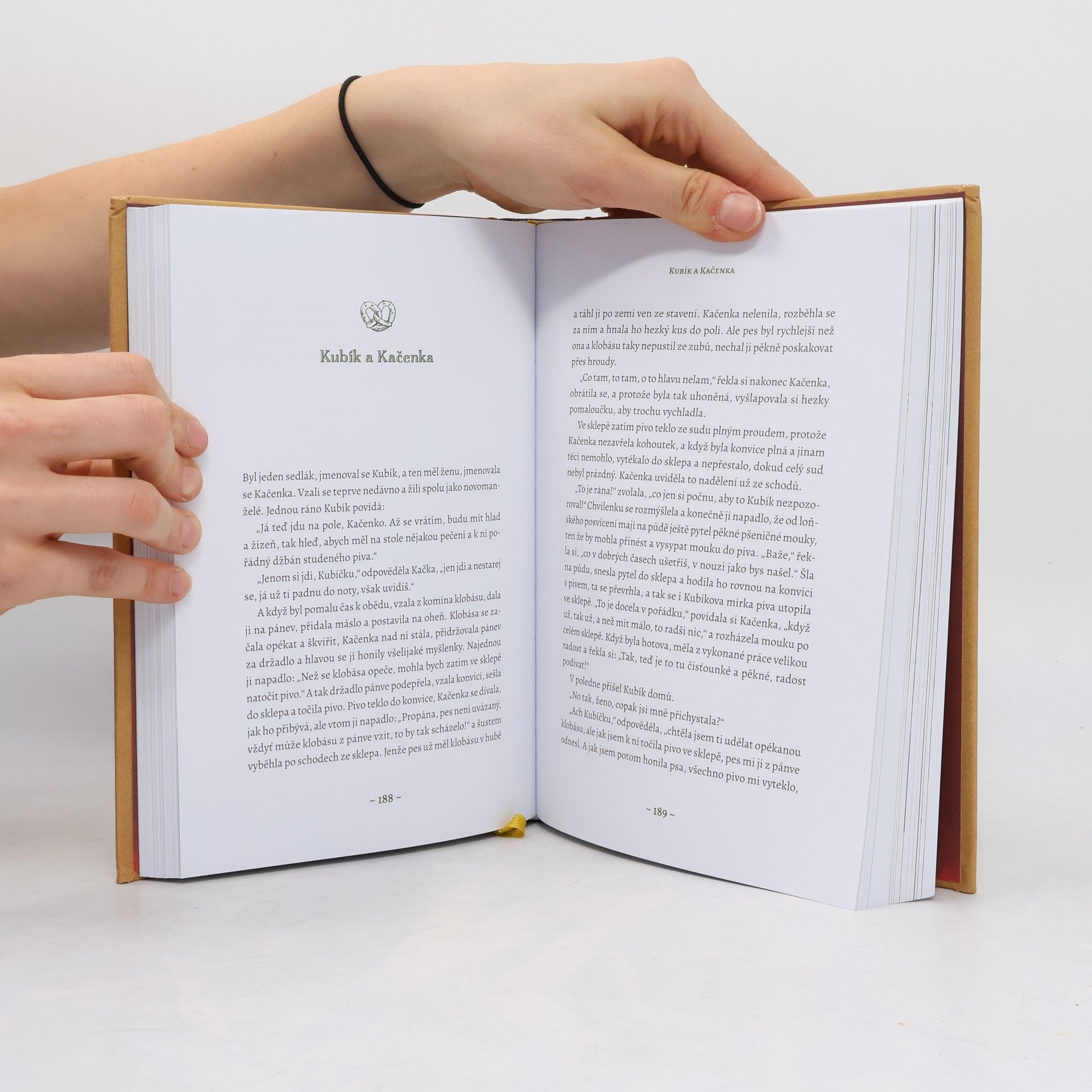 Jacob Grimm Pohádky bratří Grimmů