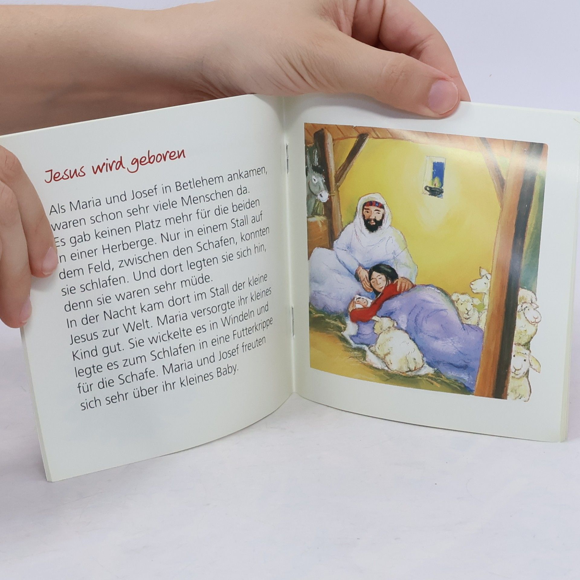 Auteurscollectief Mein kleines Buch von Weihnachten