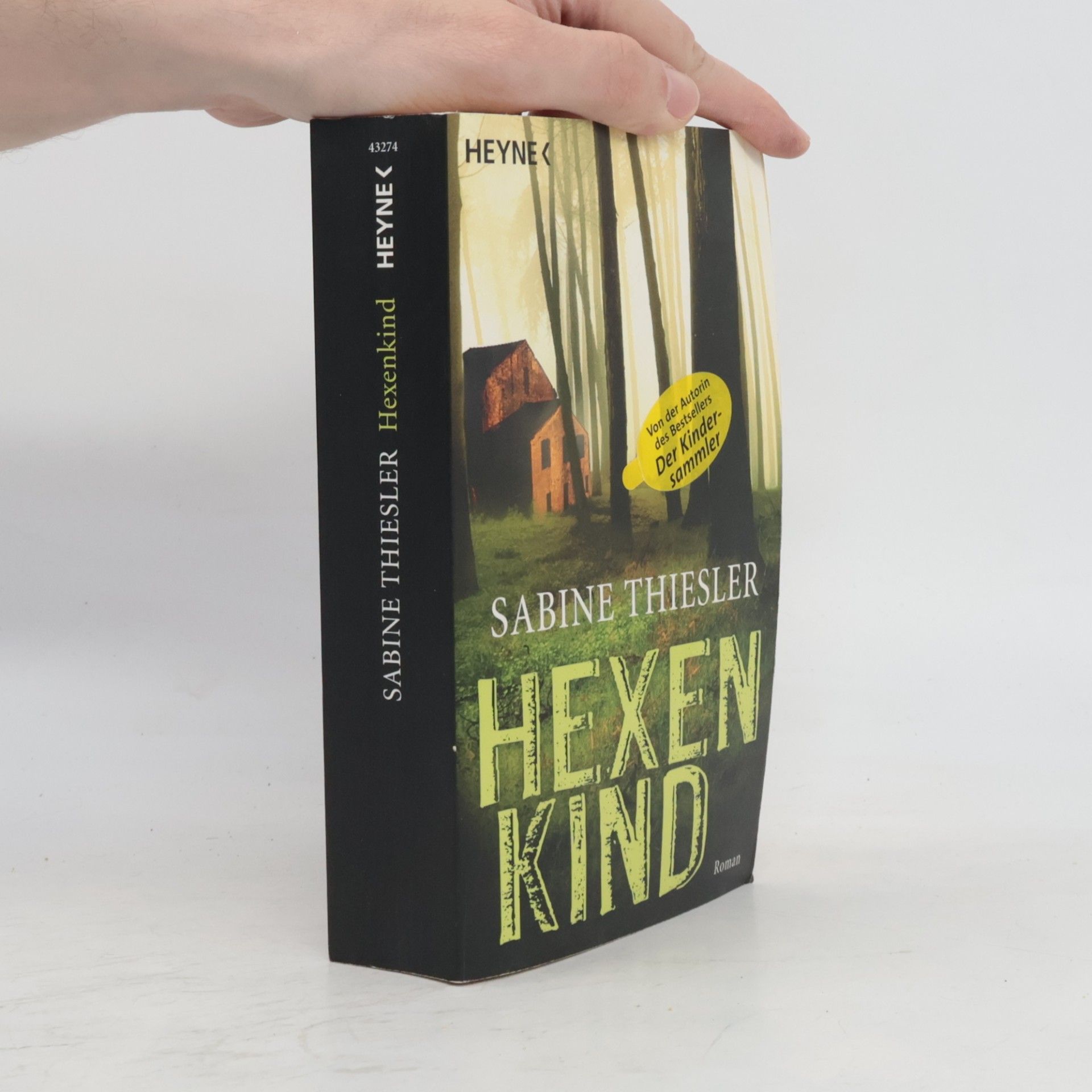 Sabine Thiesler Hexenkind - Roman