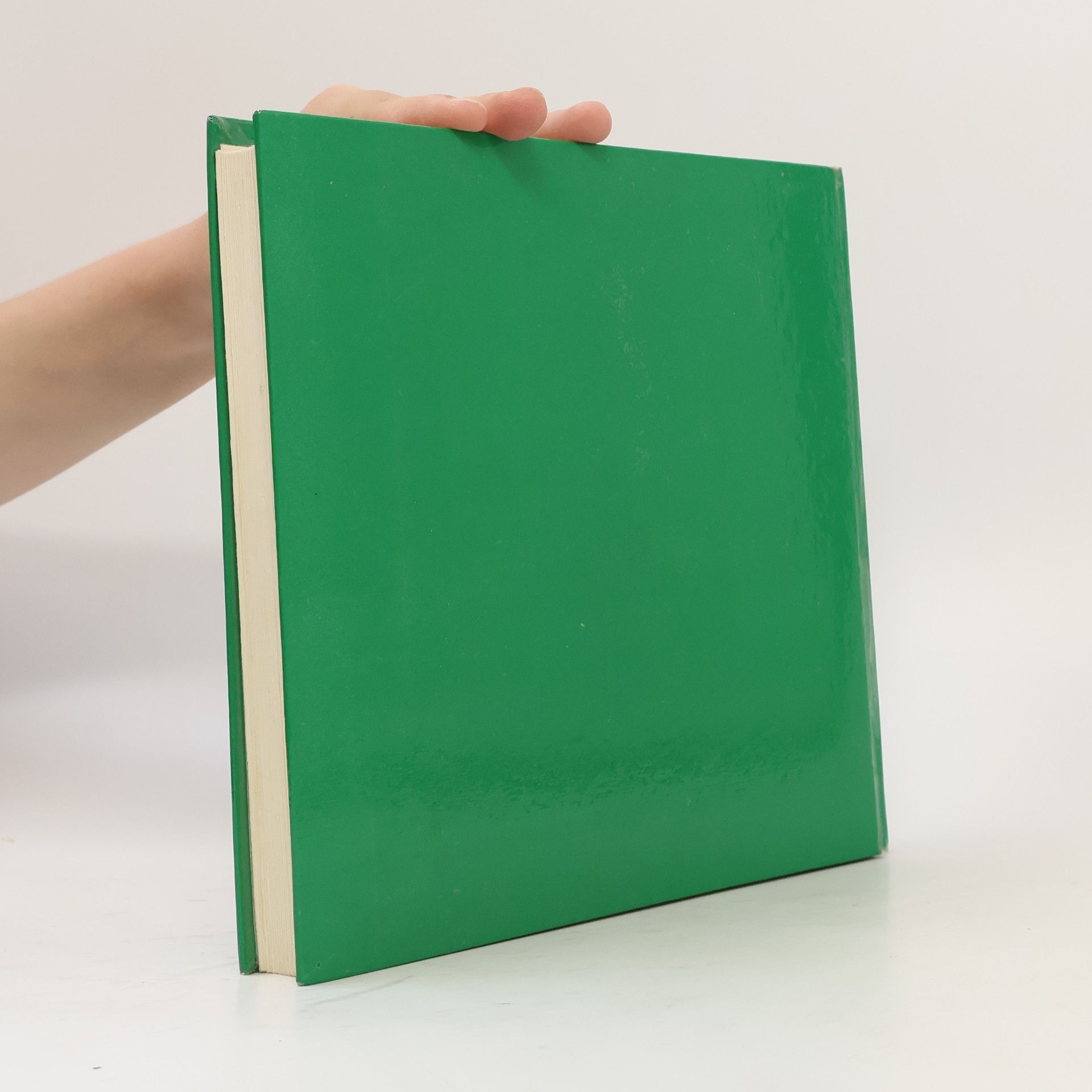 Autorenkollektiv Mein grosses Teddy-Buch