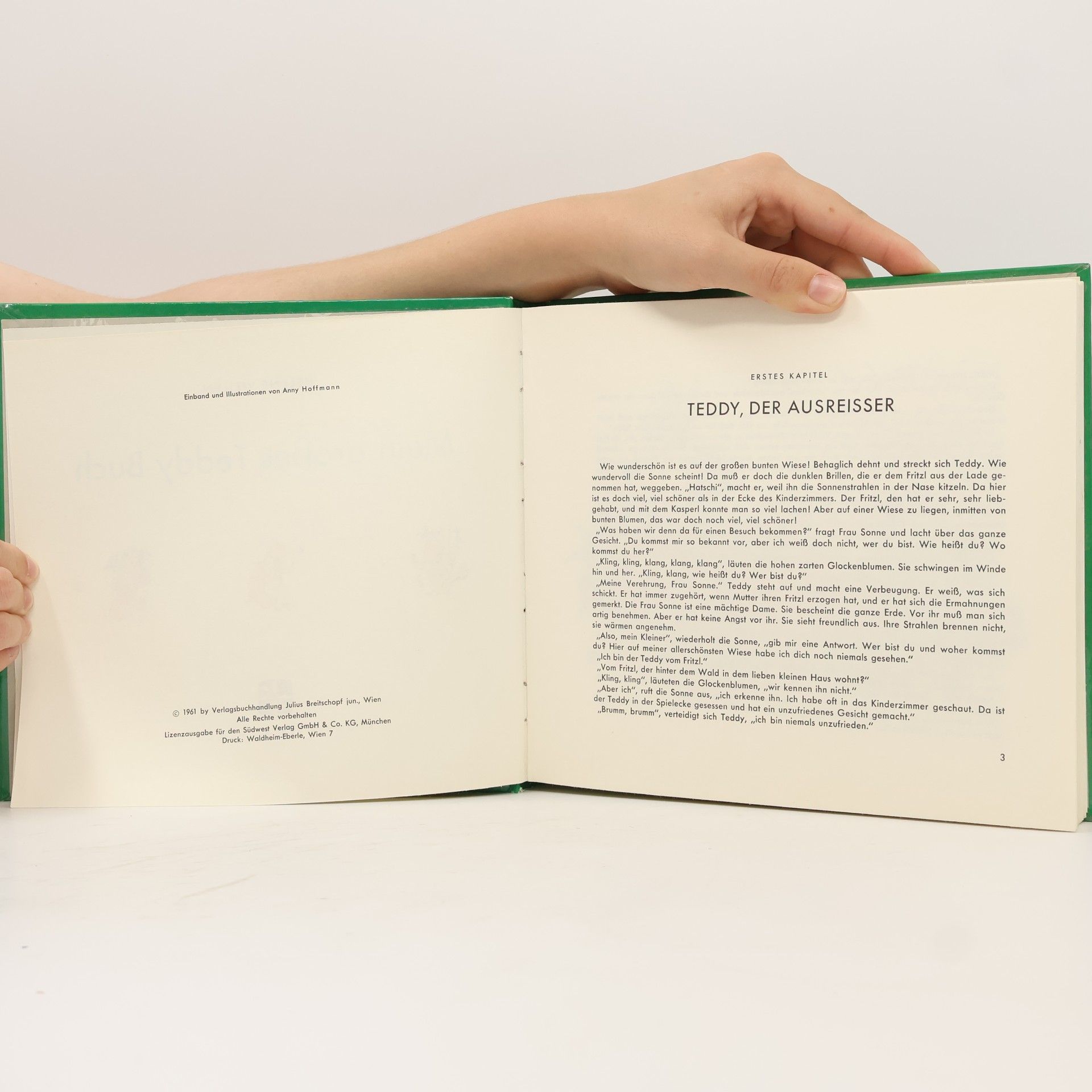 Autorenkollektiv Mein grosses Teddy-Buch