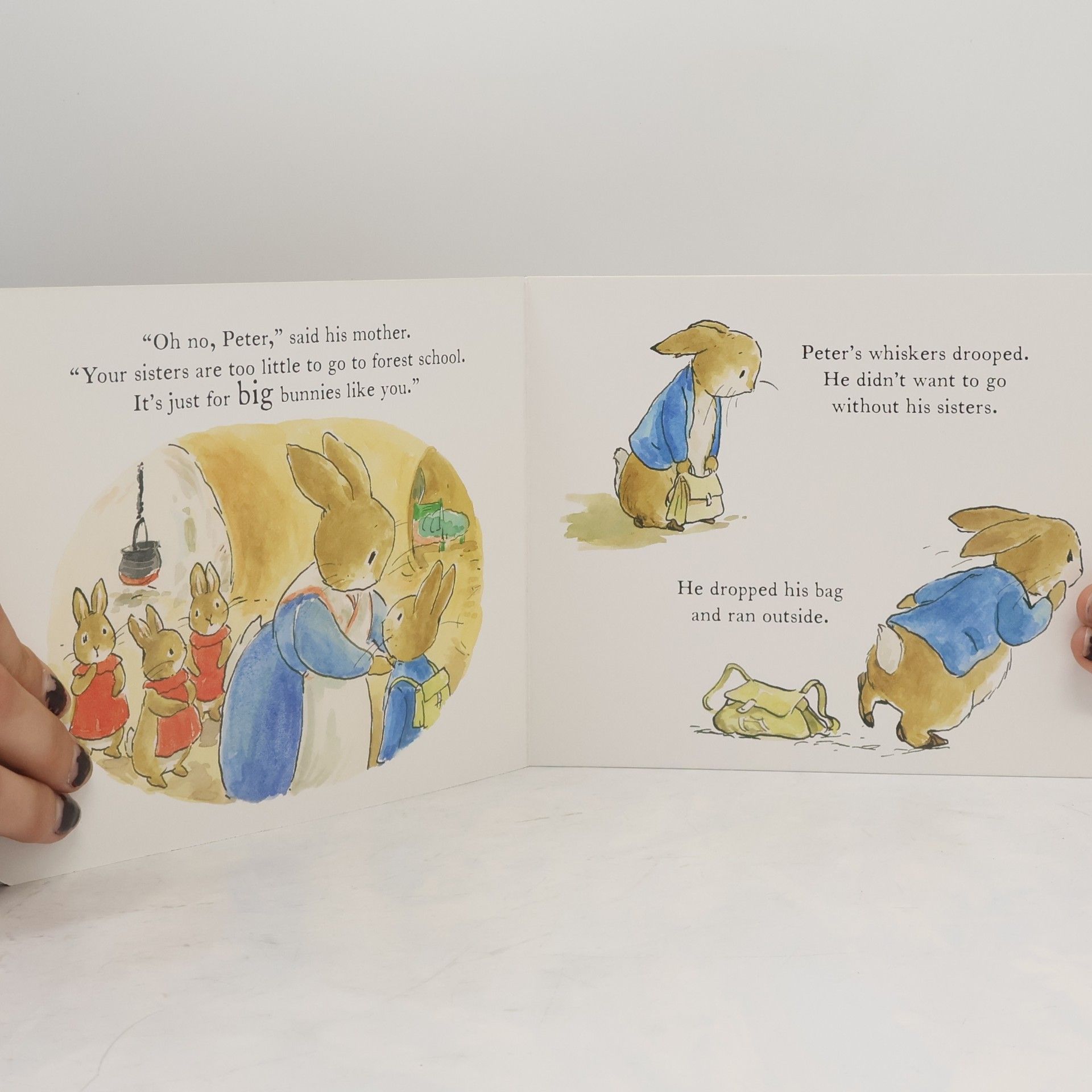 Beatrix Potter The World of Peter Rabbit: Starting School
