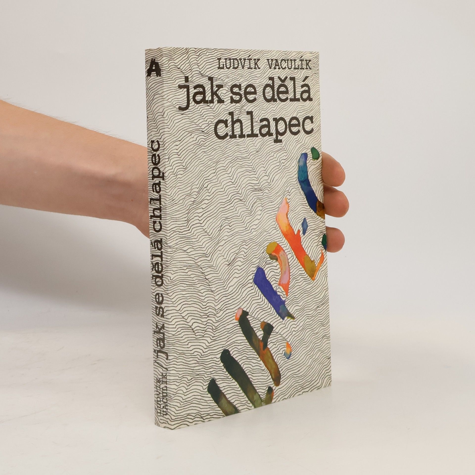 Ludvík Vaculík Jak se dělá chlapec