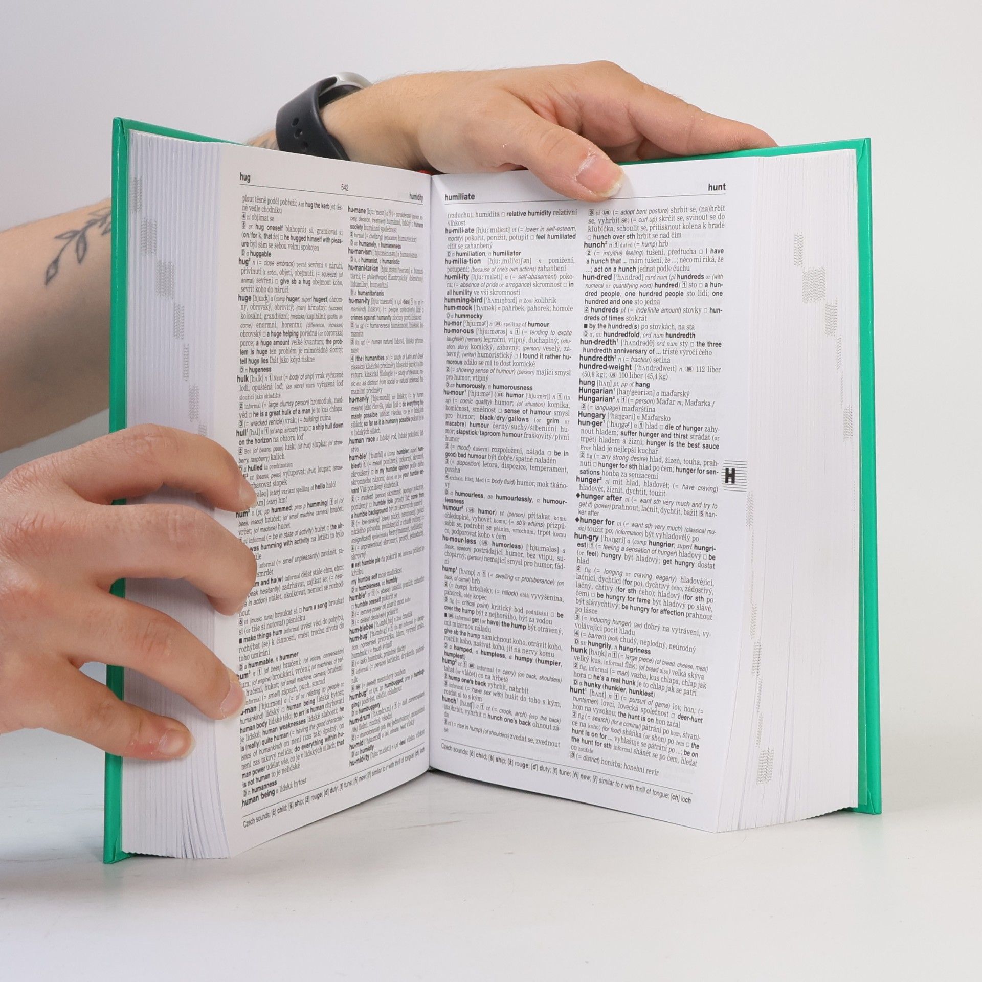 Kolektív autorov English-Czech dictionary = Anglicko-český slovník