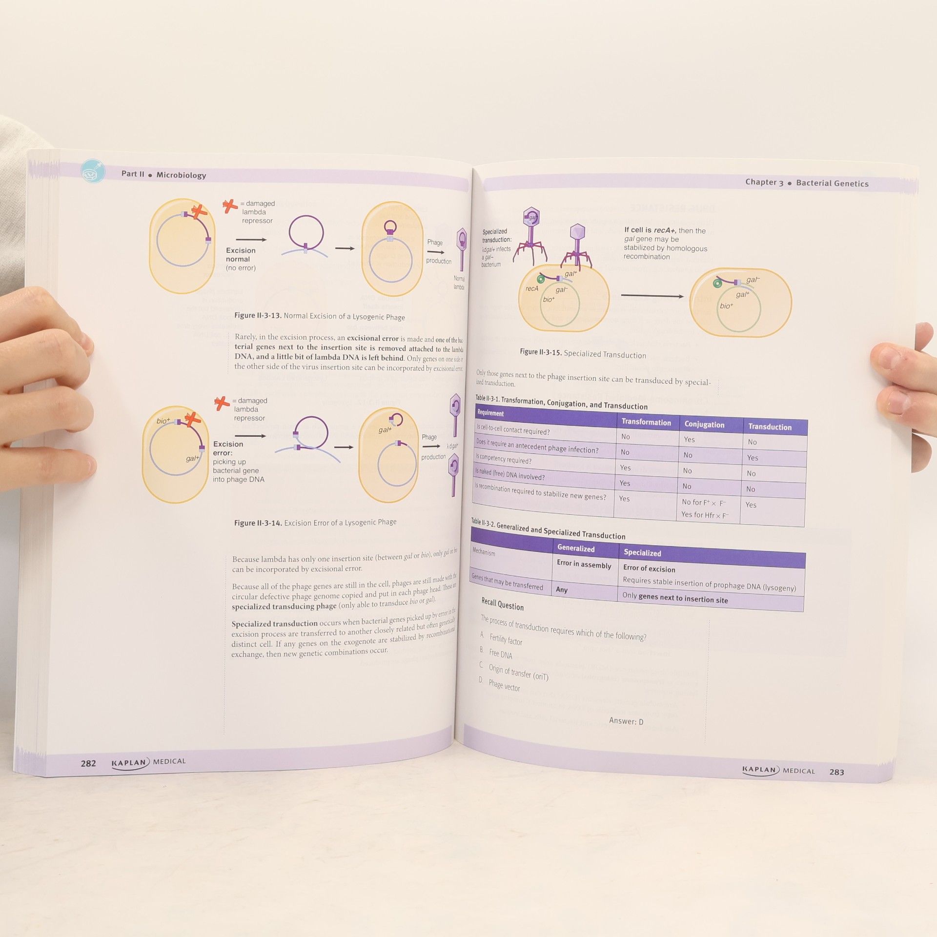 Tiffany L. Alley USMLE Step 1 Lecture Notes 2019
