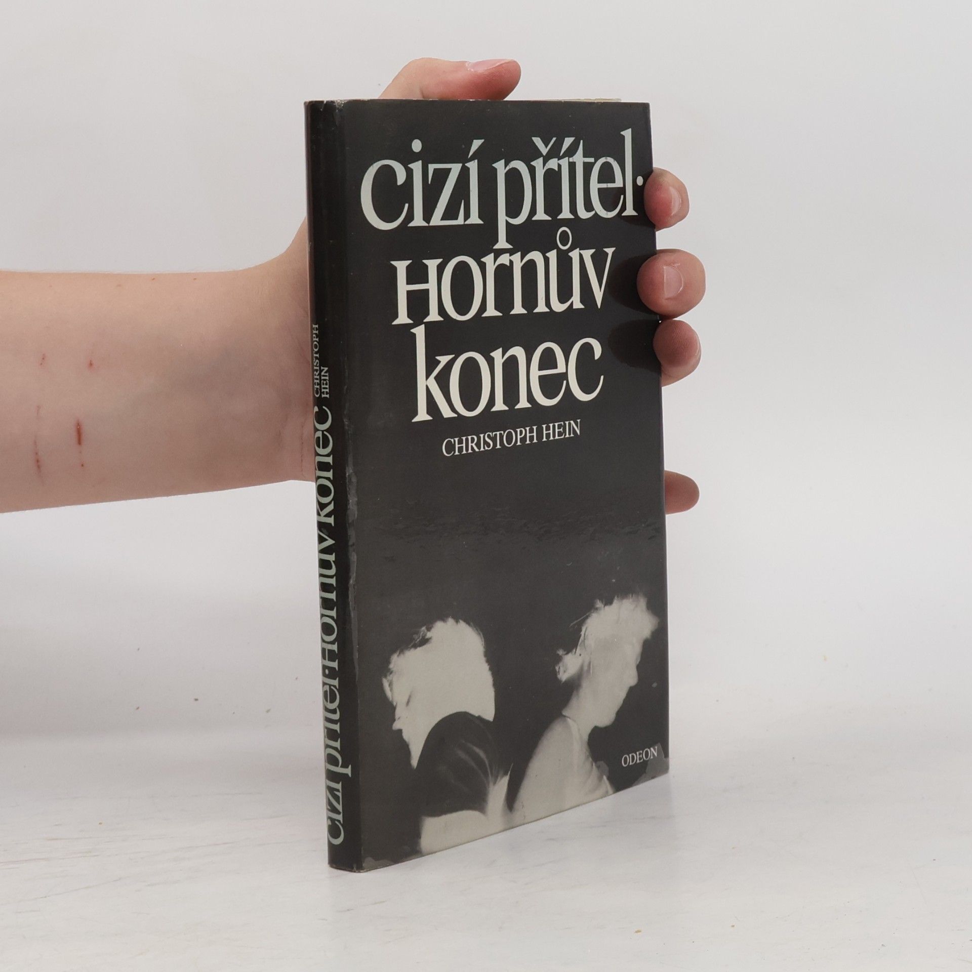 Christoph Hein Cizí přítel. Hornův konec