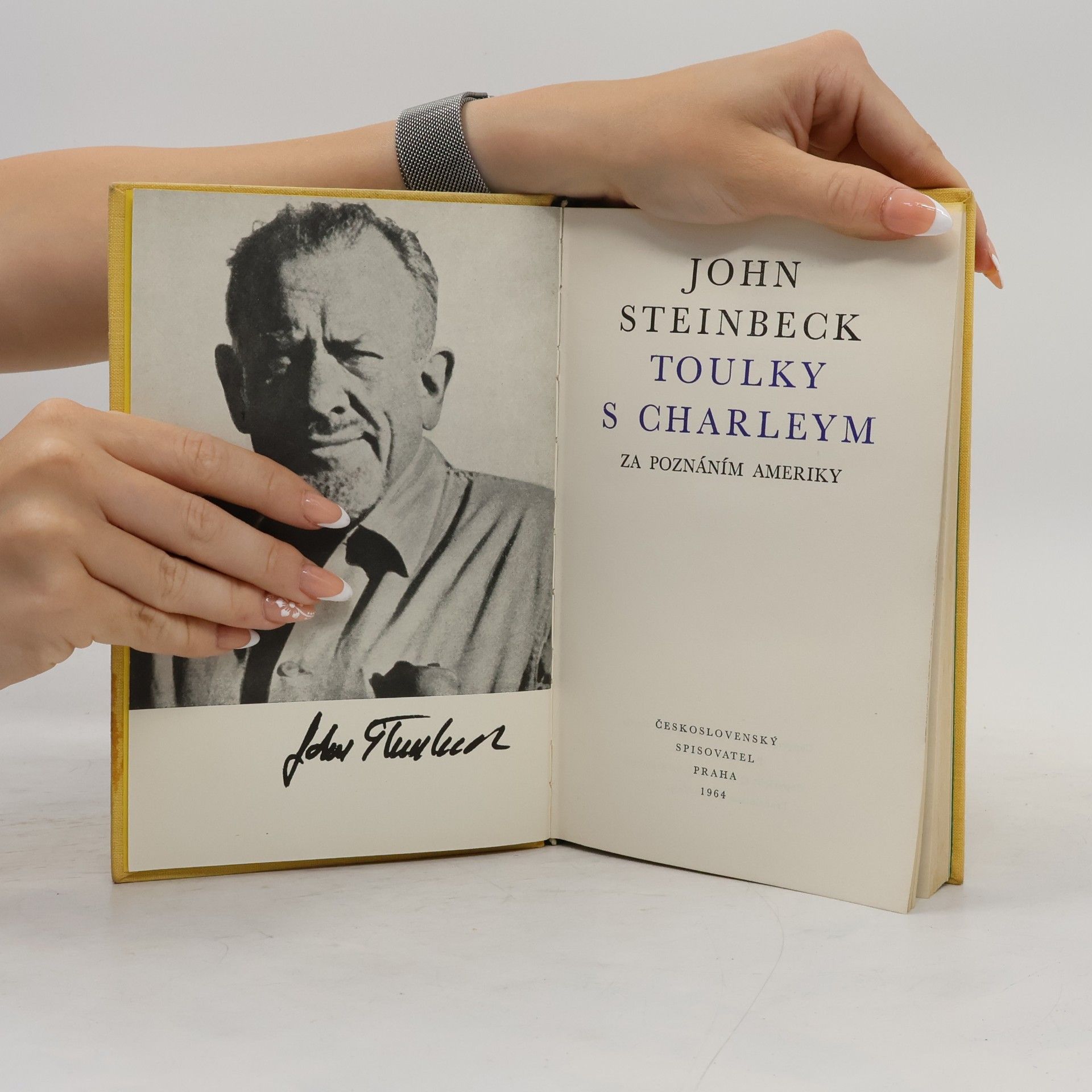 Jan Werich Toulky s Charleym