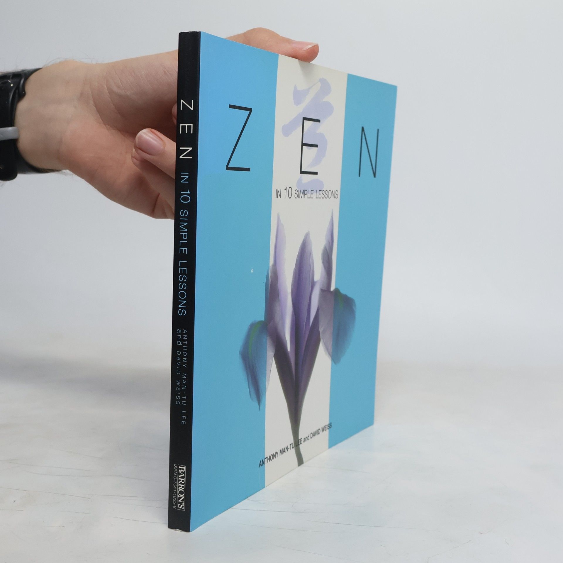 Anthony Man Tu Lee Zen in Ten Simple Lessons
