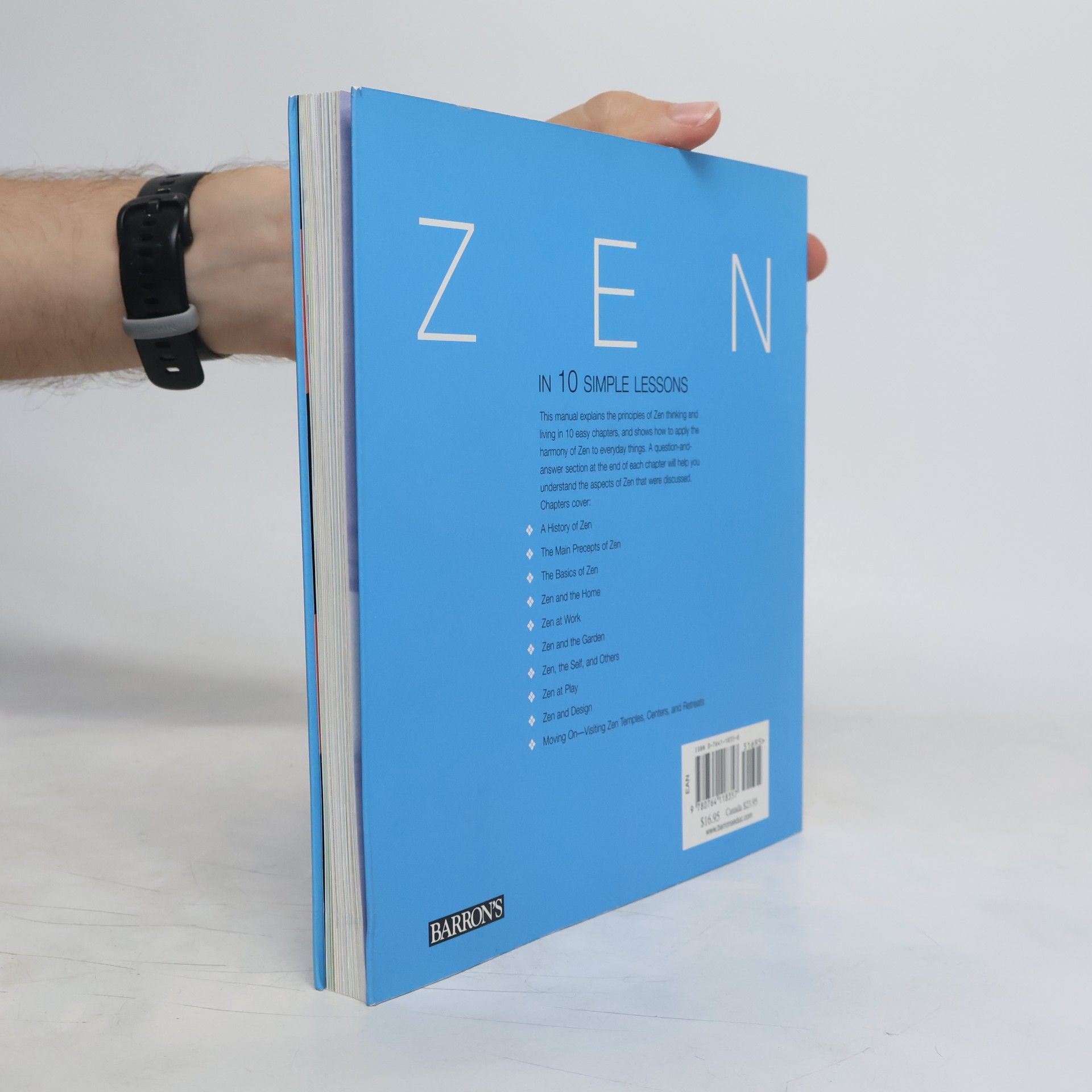 Anthony Man Tu Lee Zen in Ten Simple Lessons
