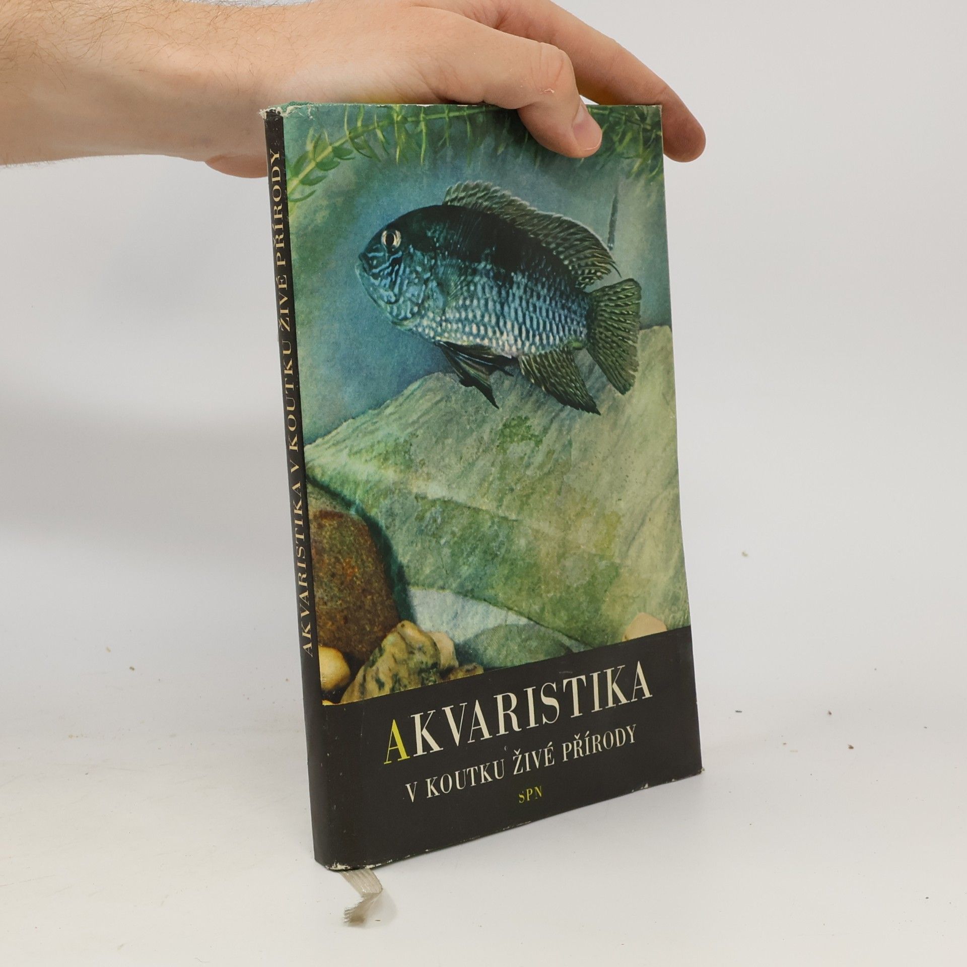Collectif d'auteurs Akvaristika v koutku živé přírody