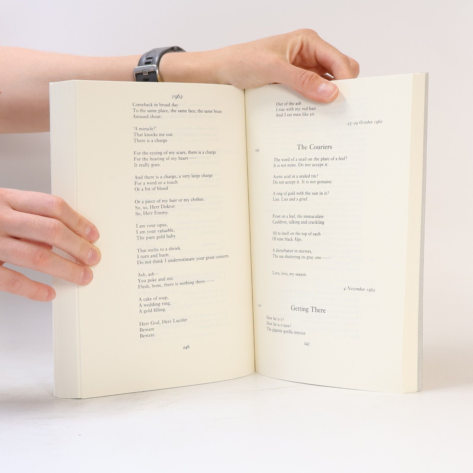 Sylvia Plath The Collected Poems
