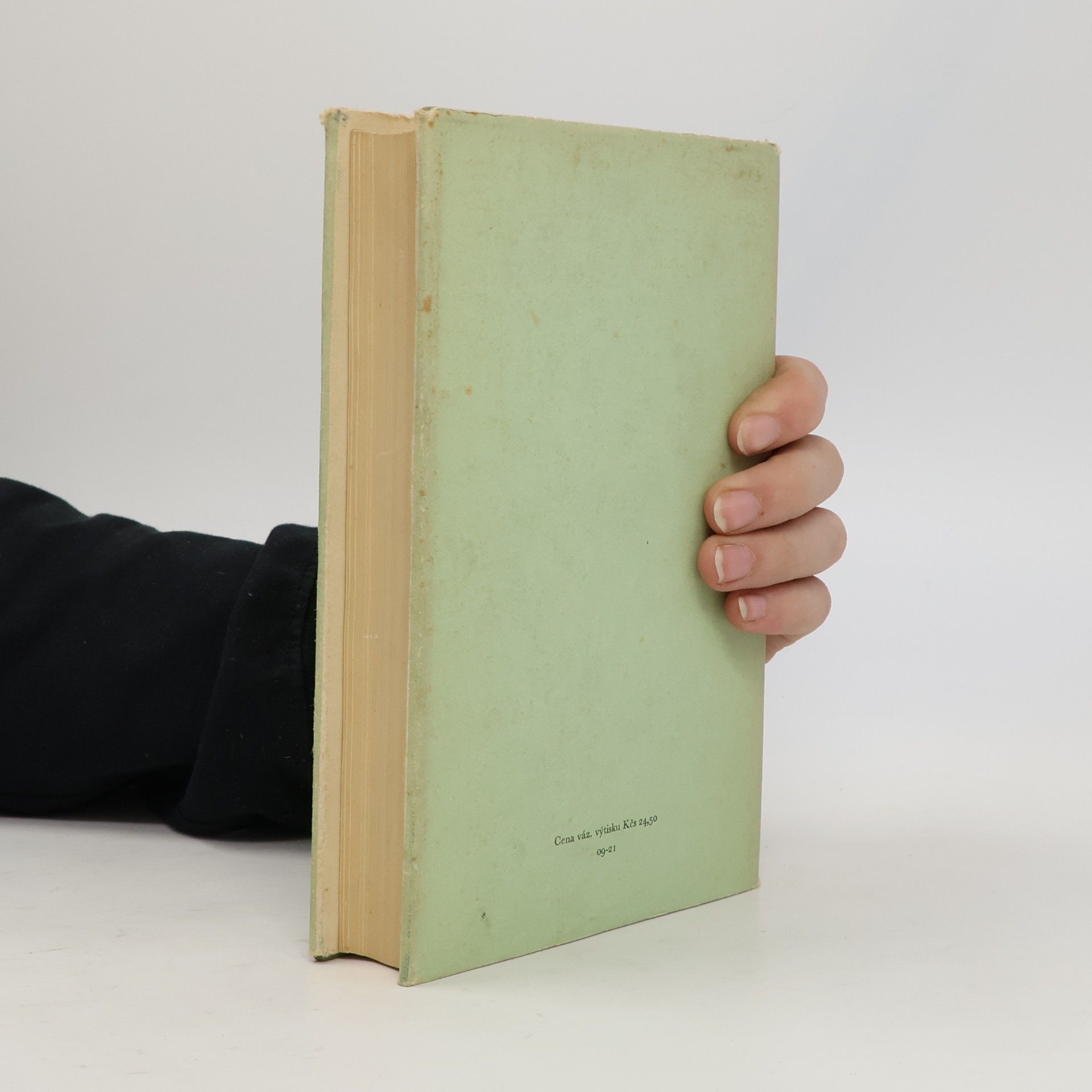 Romain Rolland Beethoven II. Velká tvůrčí období, zpěv a vzkříšení