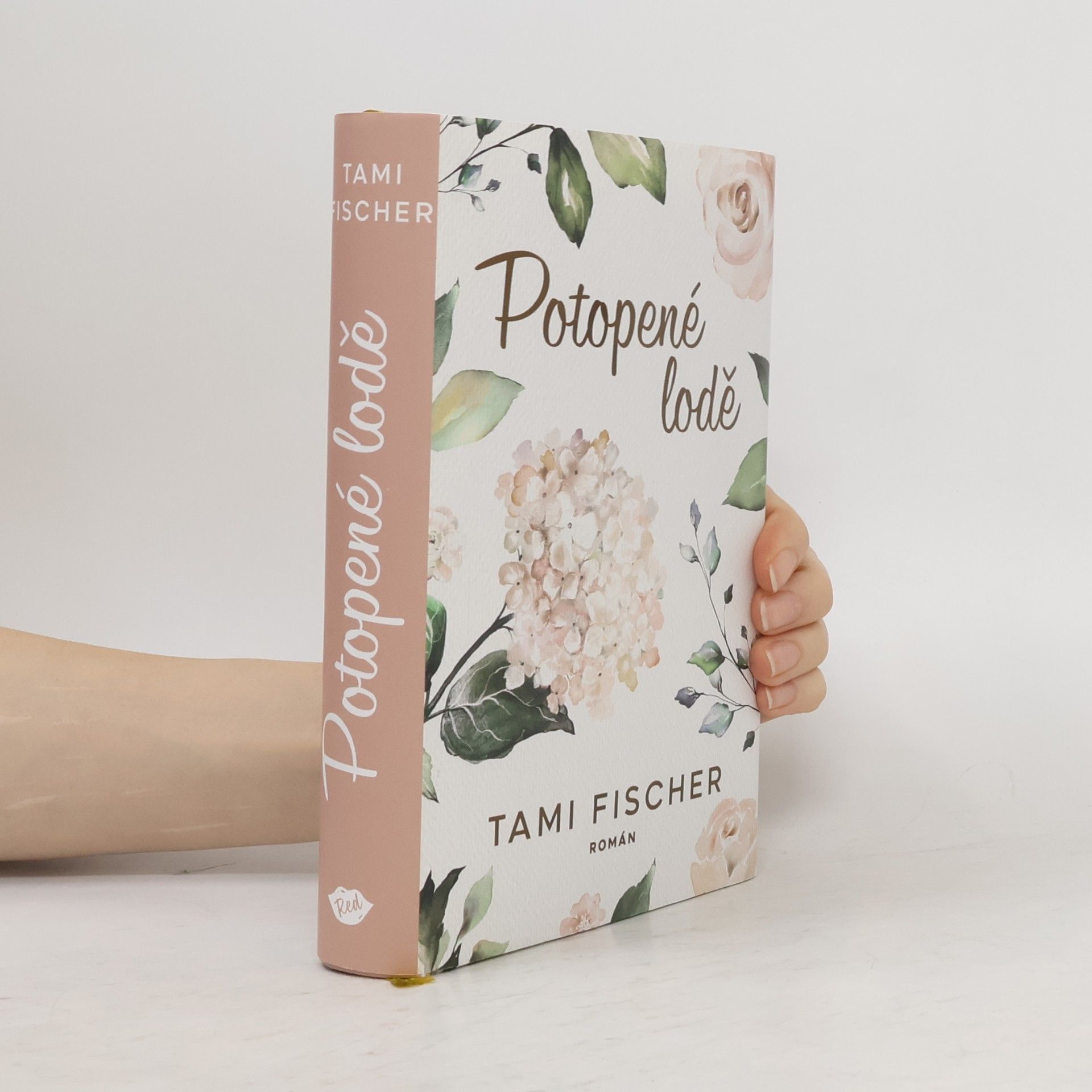 Tami Fischer Potopené lodě