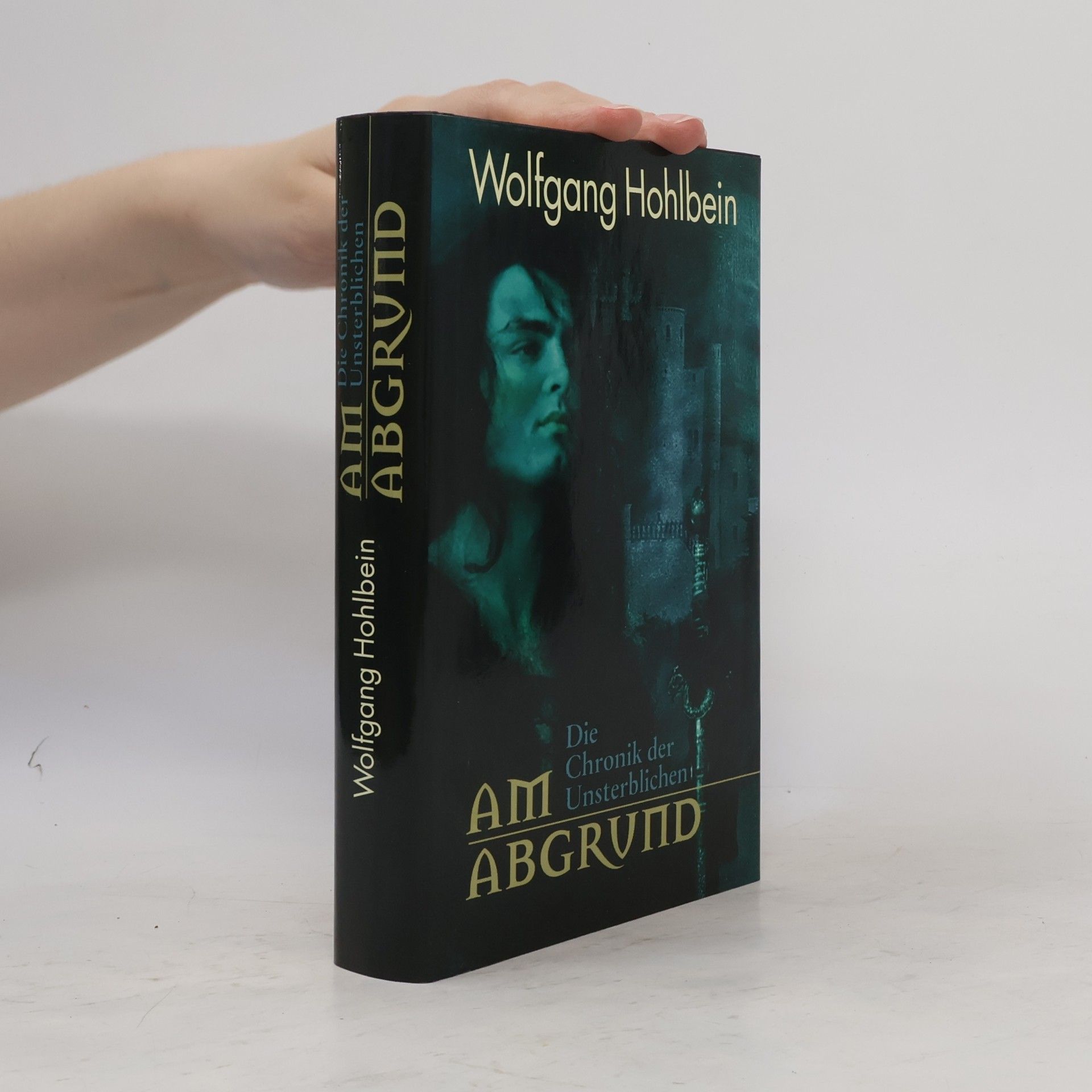 Wolfgang Hohlbein Am Abgrund