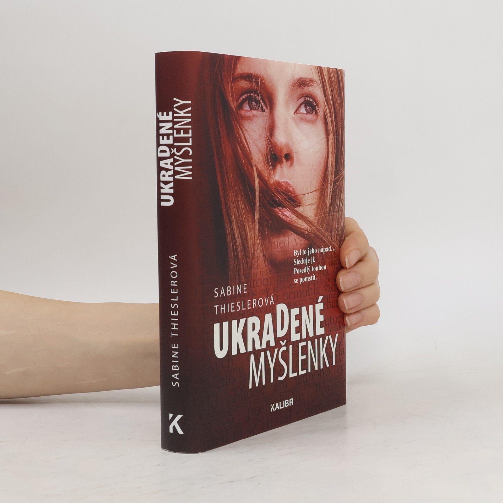 Sabine Thiesler Ukradené myšlenky