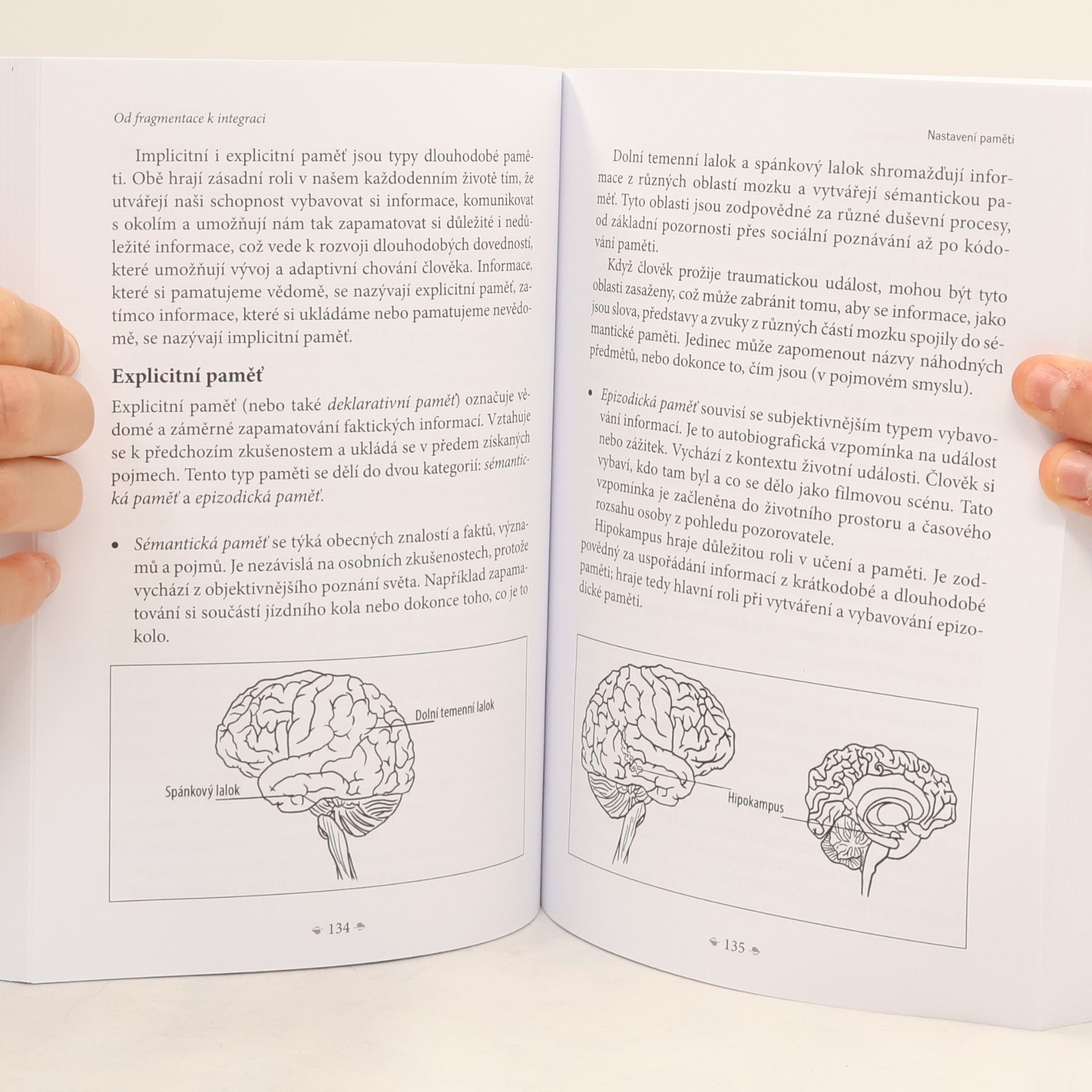 Barbora Janečková Od fragmentace k integraci - Trauma pohledem biosyntetické psychoterapie