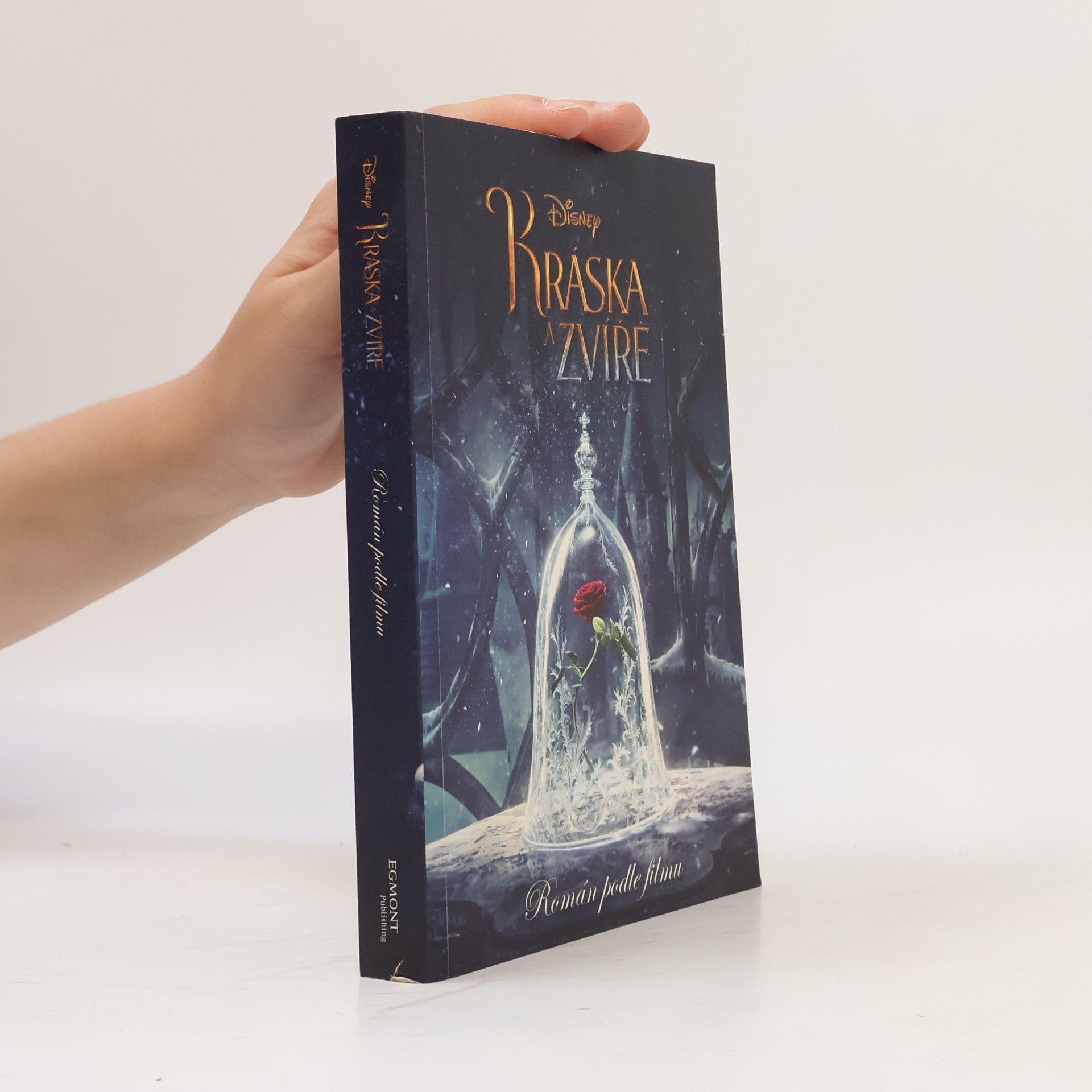 Elizabeth Rudnick Kráska a Zvíře