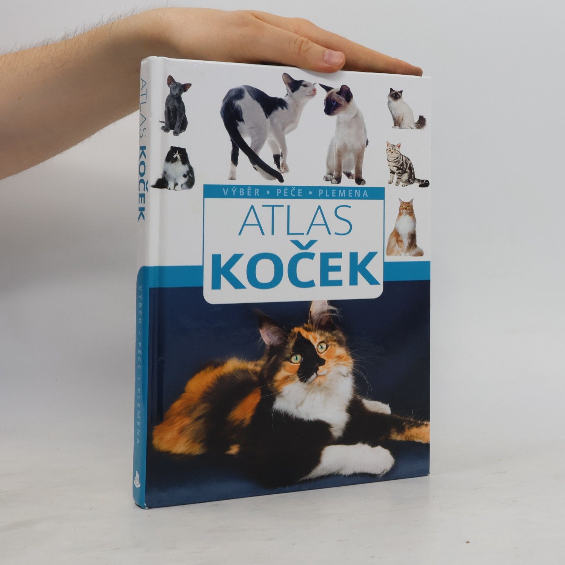 Collectif d'auteurs Atlas koček : výběr, péče, plemena