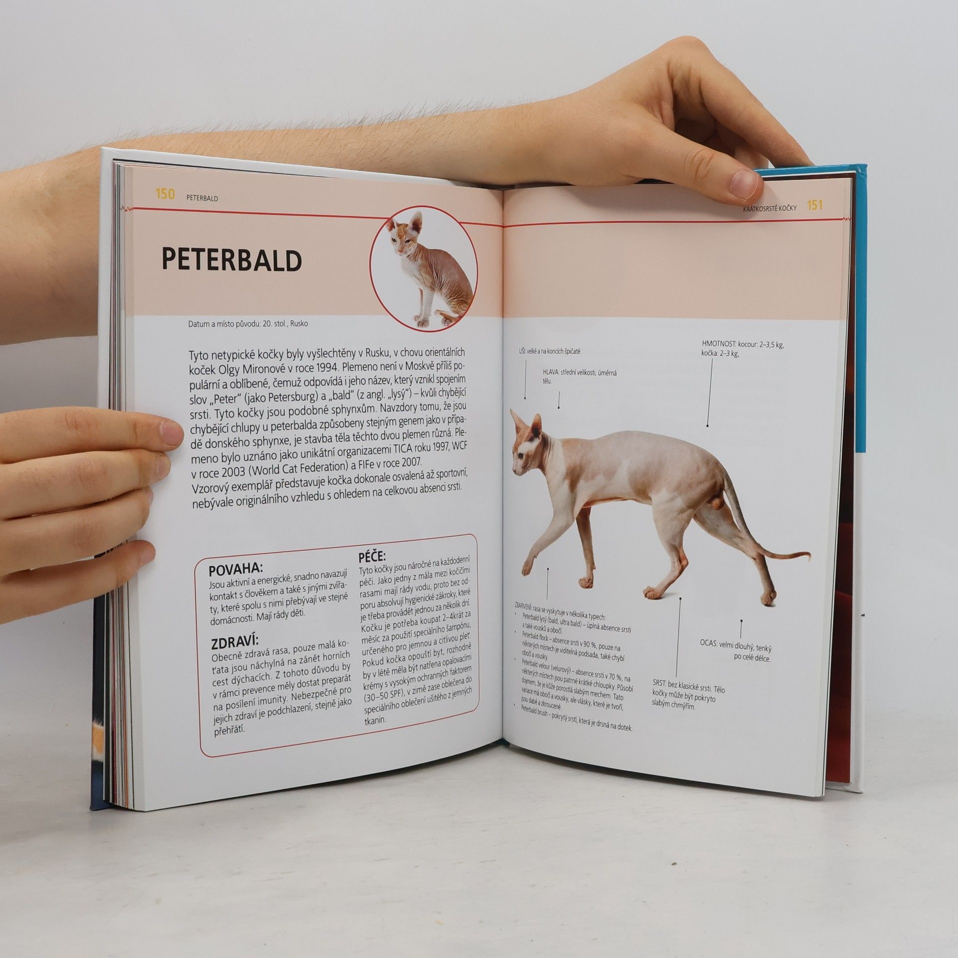 Collectif d'auteurs Atlas koček : výběr, péče, plemena