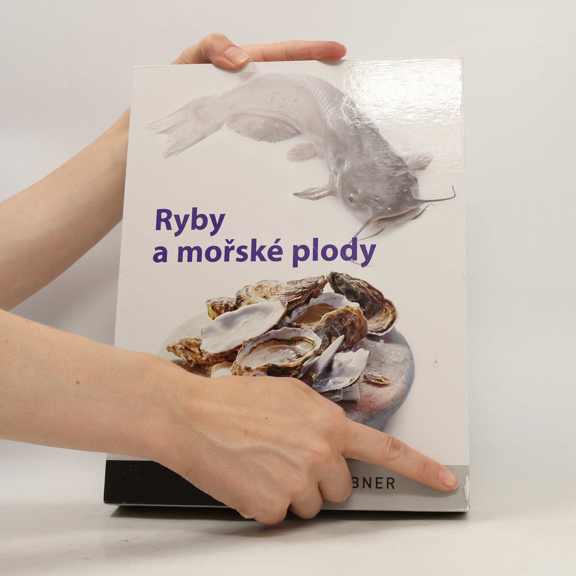 Jitka Koubková Ryby a mořské plody