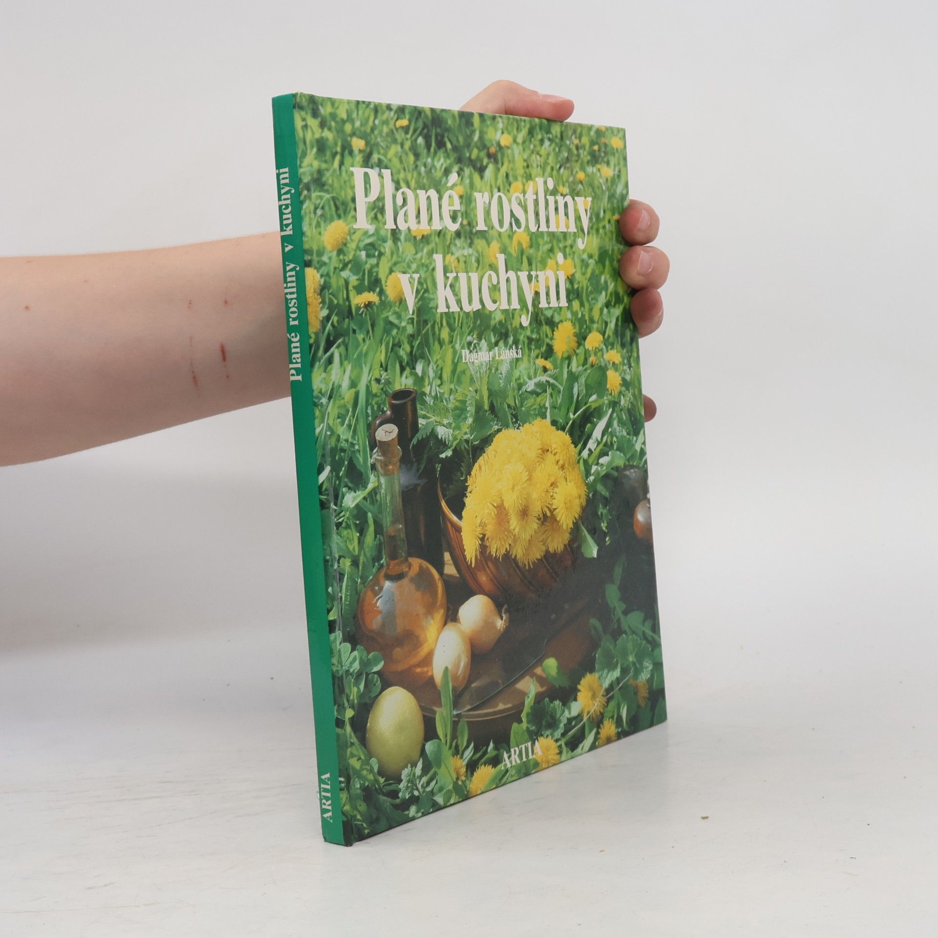 Dagmar Lánská Plané rostliny v kuchyni