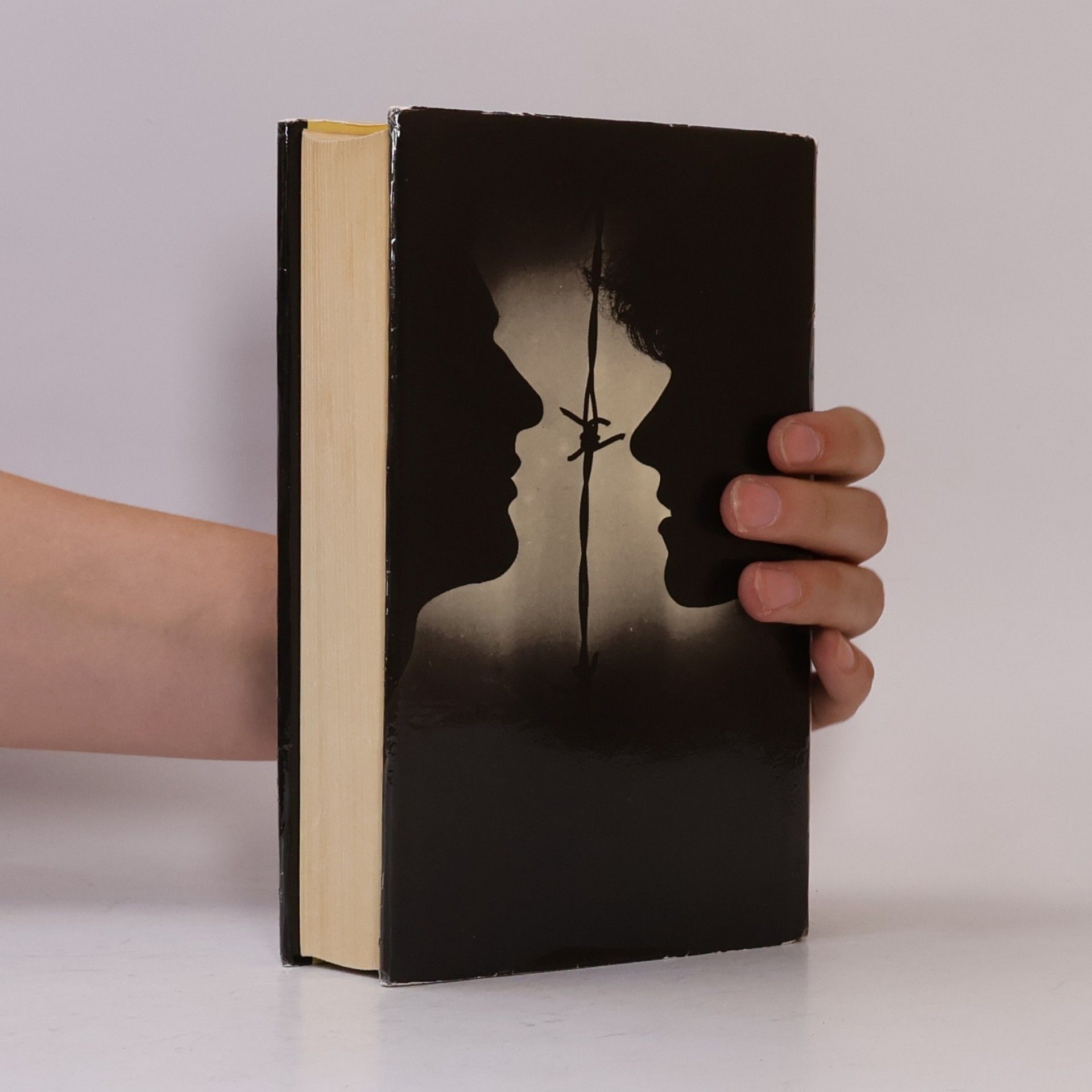 William Styron Sophiina volba