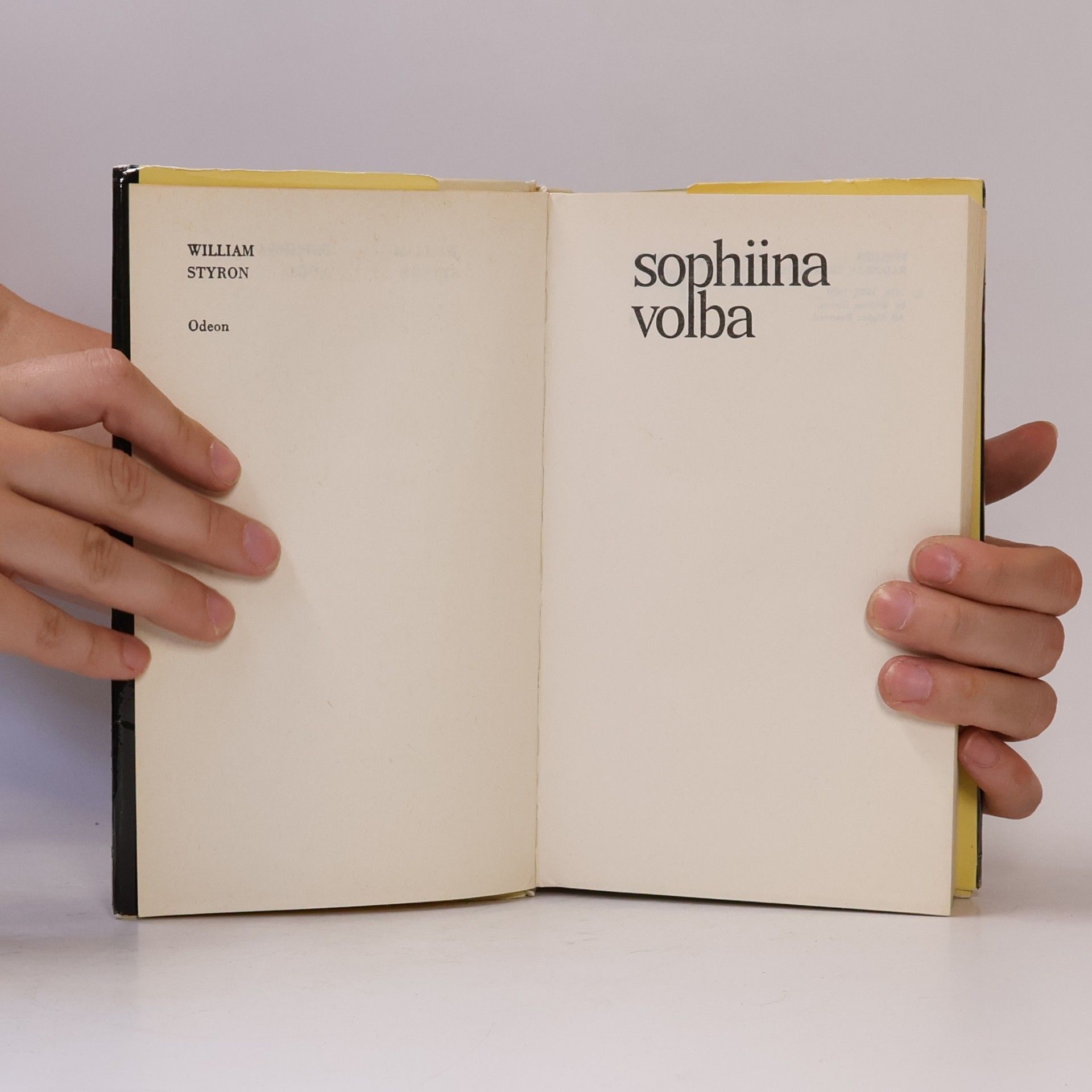 William Styron Sophiina volba