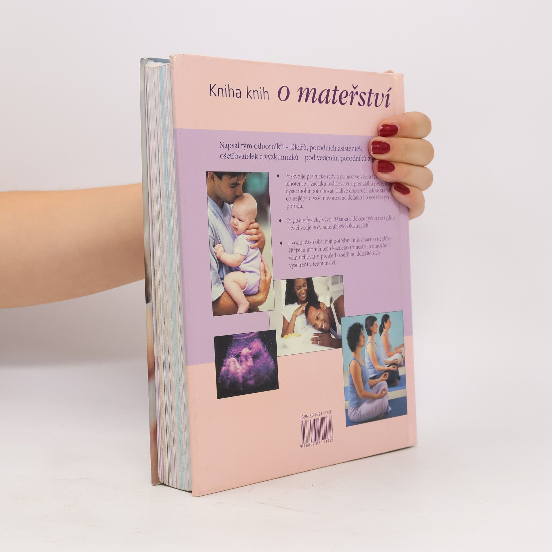 Anne Deans O mateřství : kniha knih