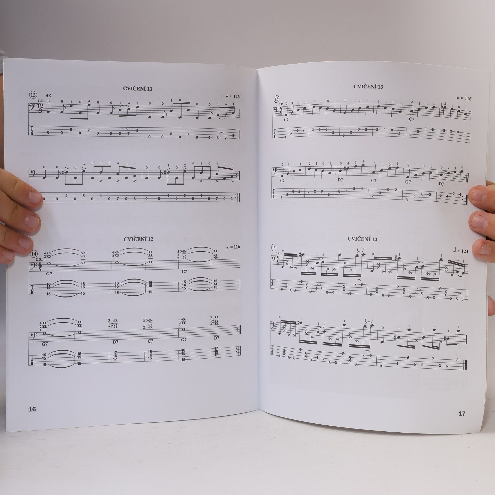 Martin Štec Bass Master Grooves