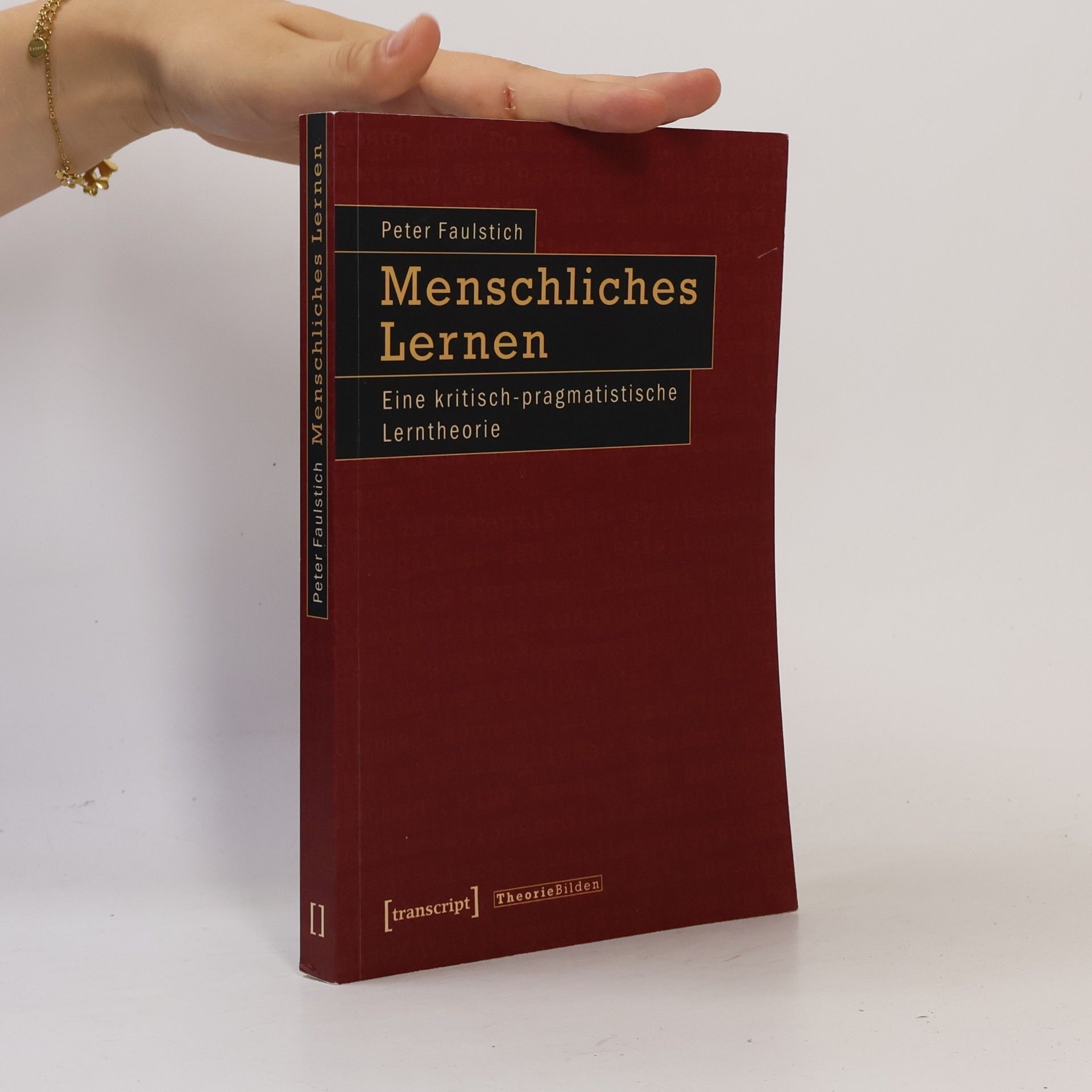 Peter Faulstich Menschliches Lernen