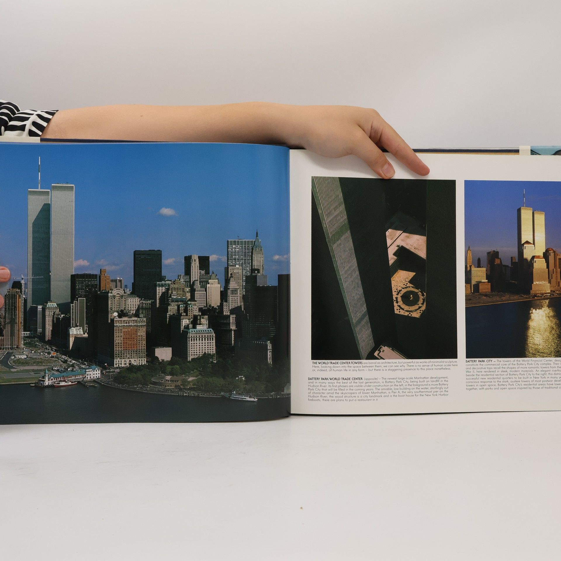 Cameron Robert Above New York