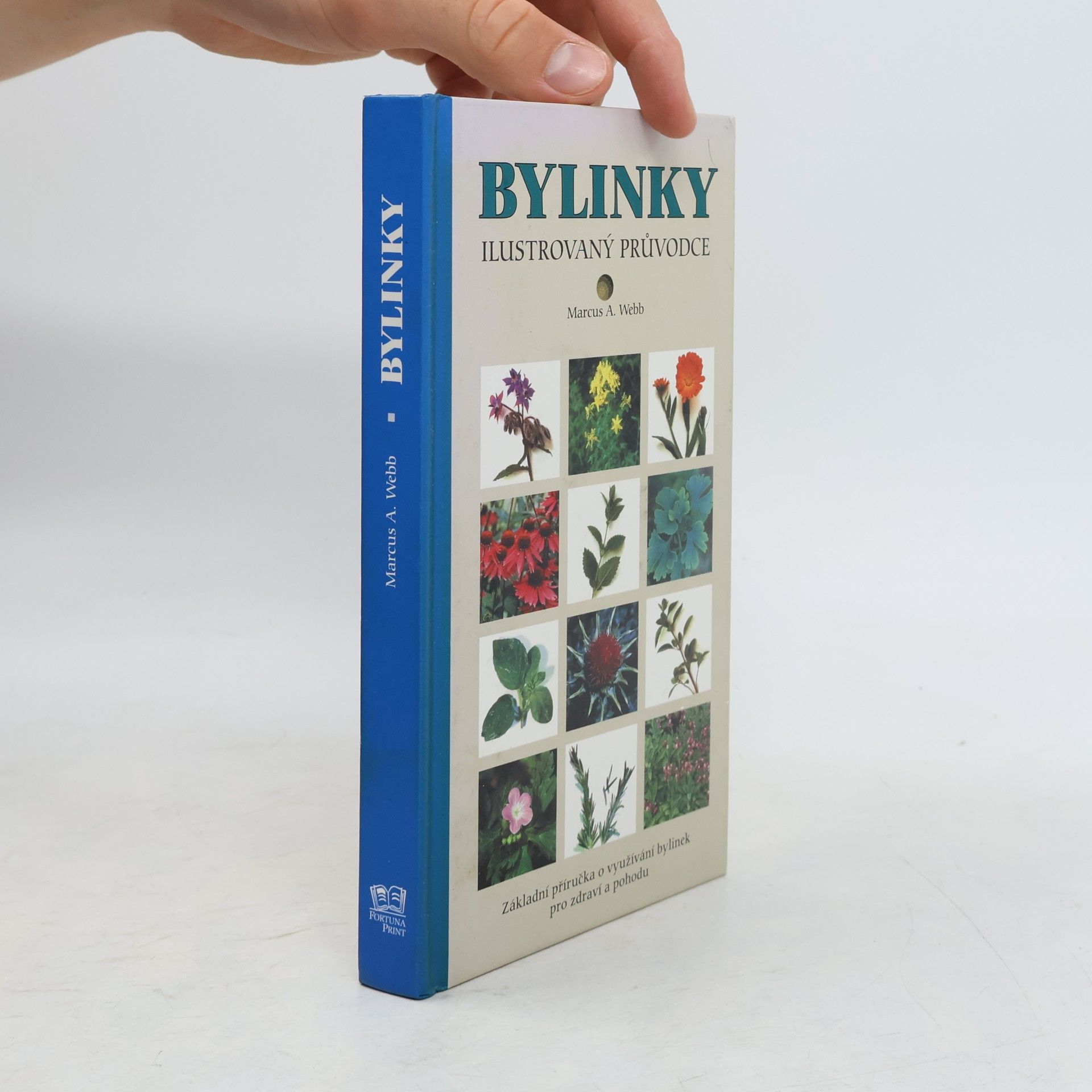Bylinky