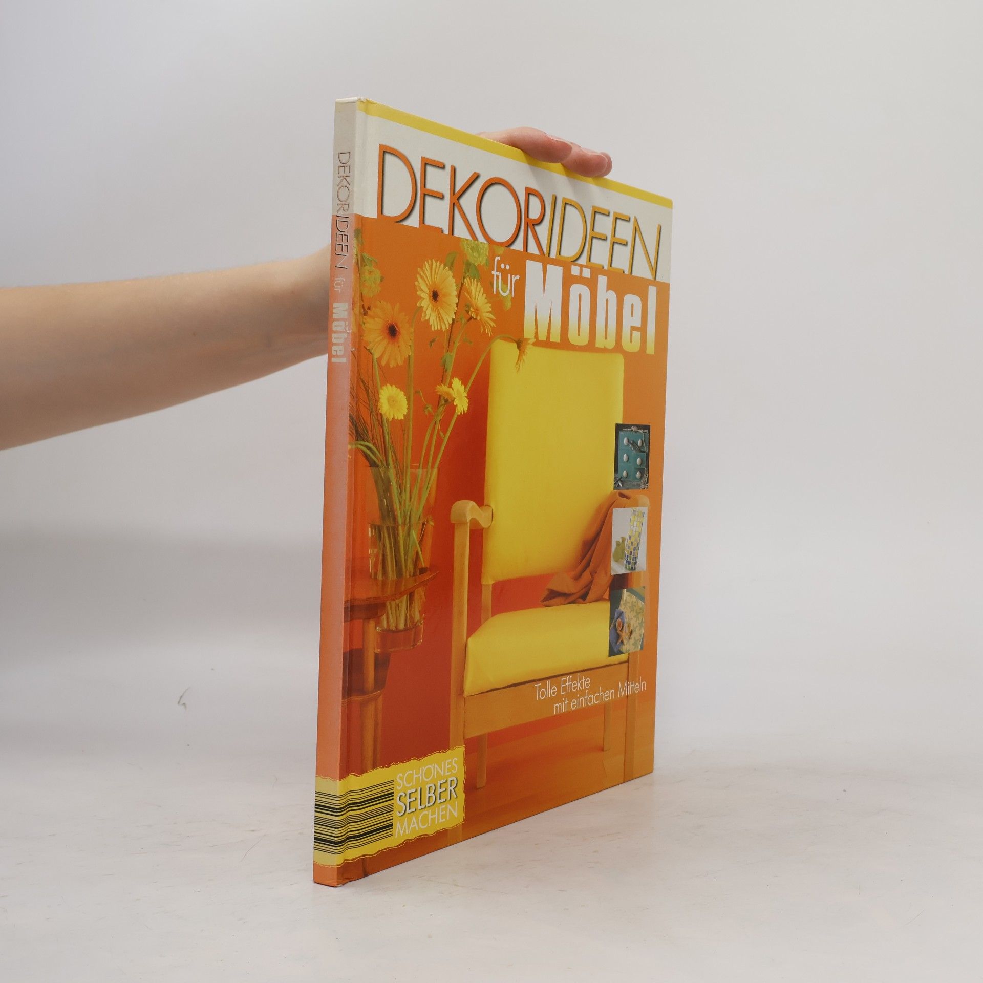 Collectif d'auteurs Dekorideen für Möbel