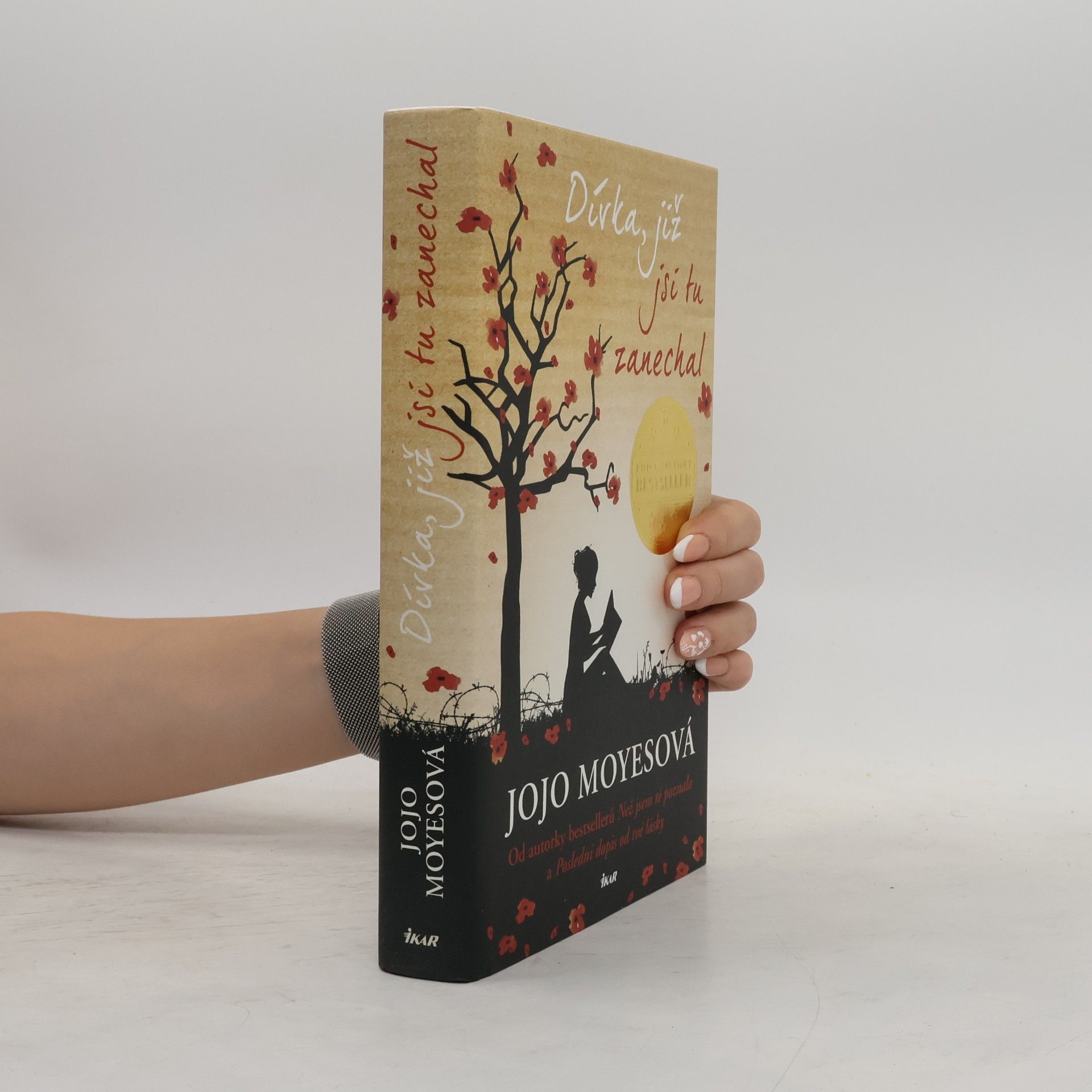 Jojo Moyes Dívka, již jsi tu zanechal