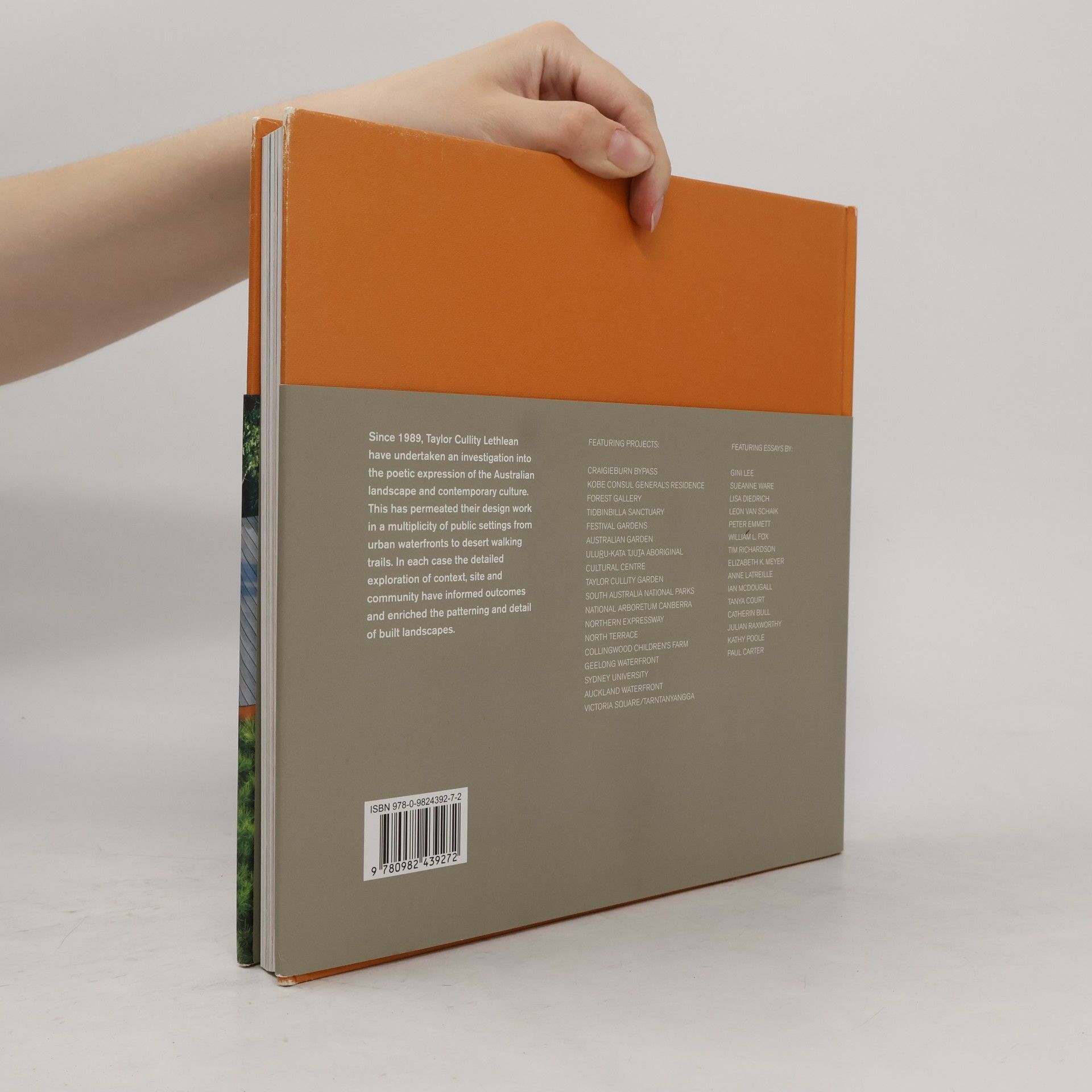 Gini Lee Making Sense of Landscape