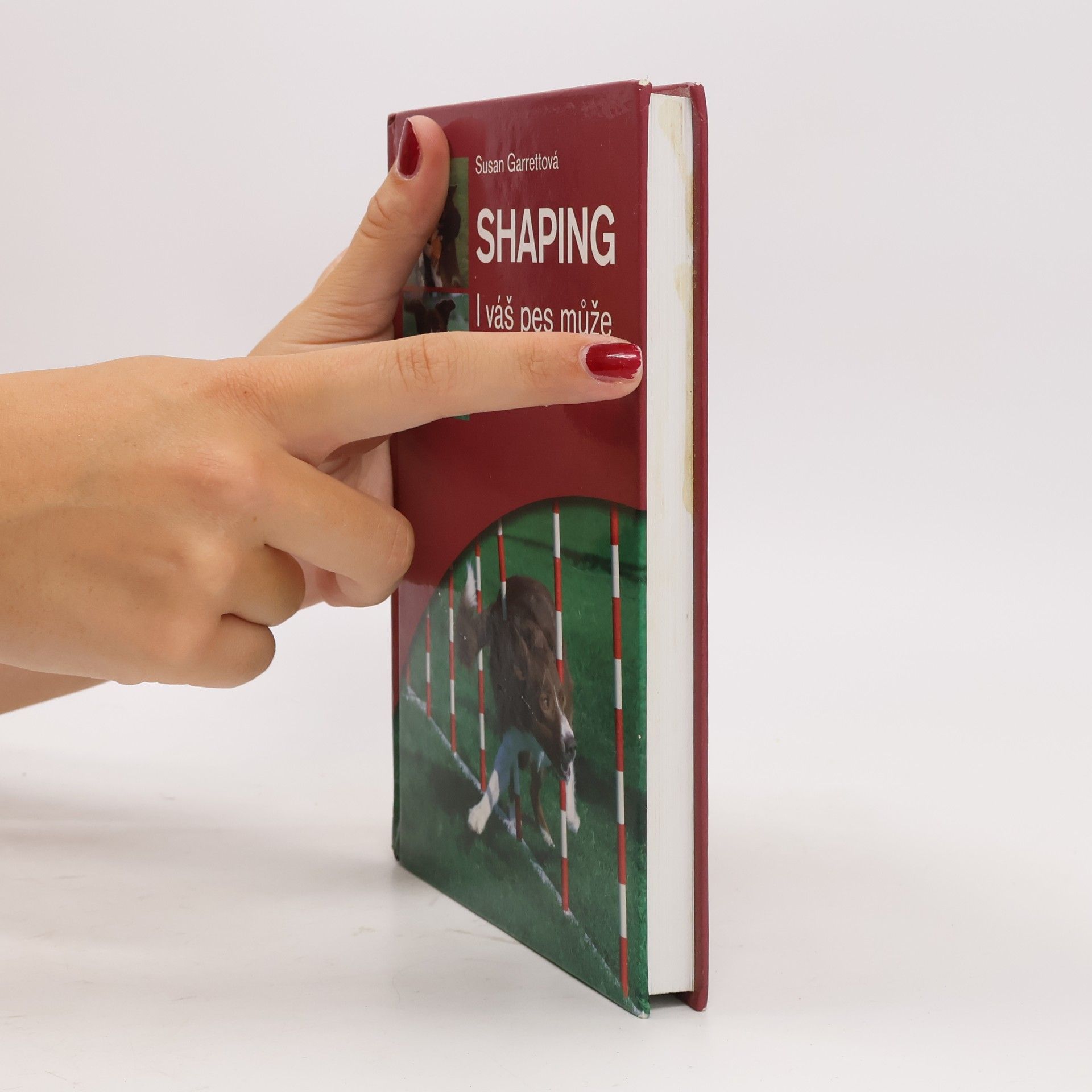 Susan Garrett Shaping. I váš pes může být šampion