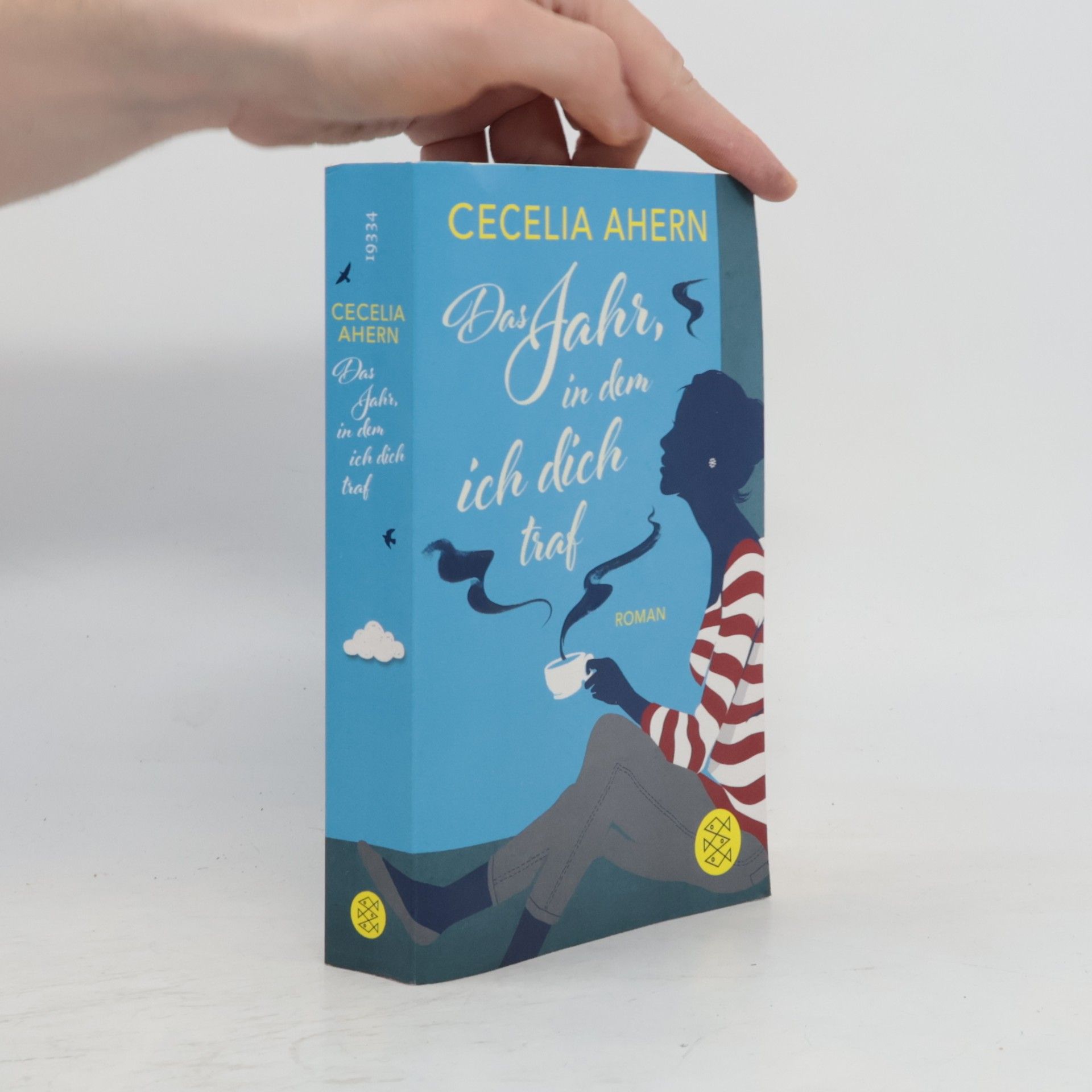 Cecelia Ahern Das Jahr, in dem ich dich traf