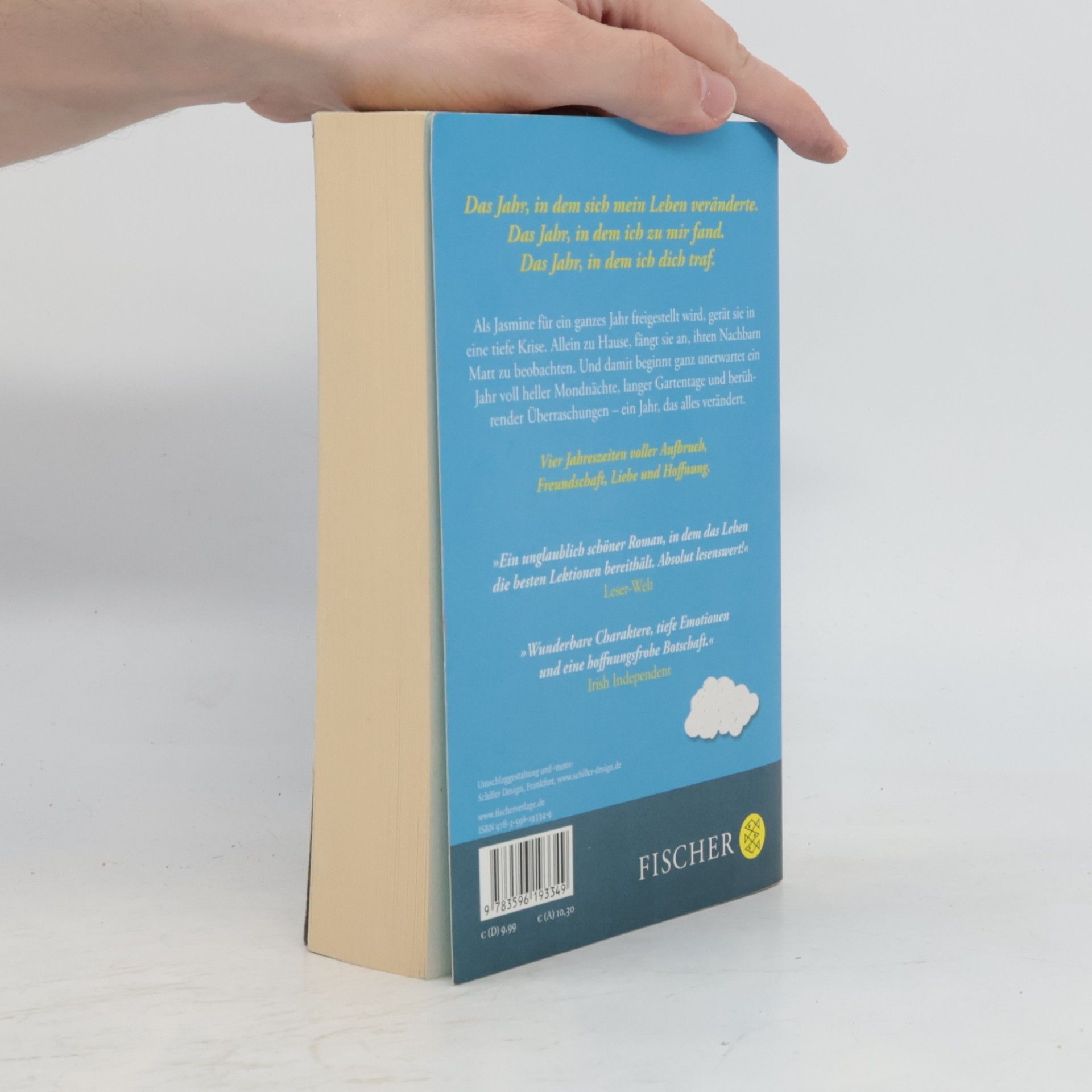Cecelia Ahern Das Jahr, in dem ich dich traf