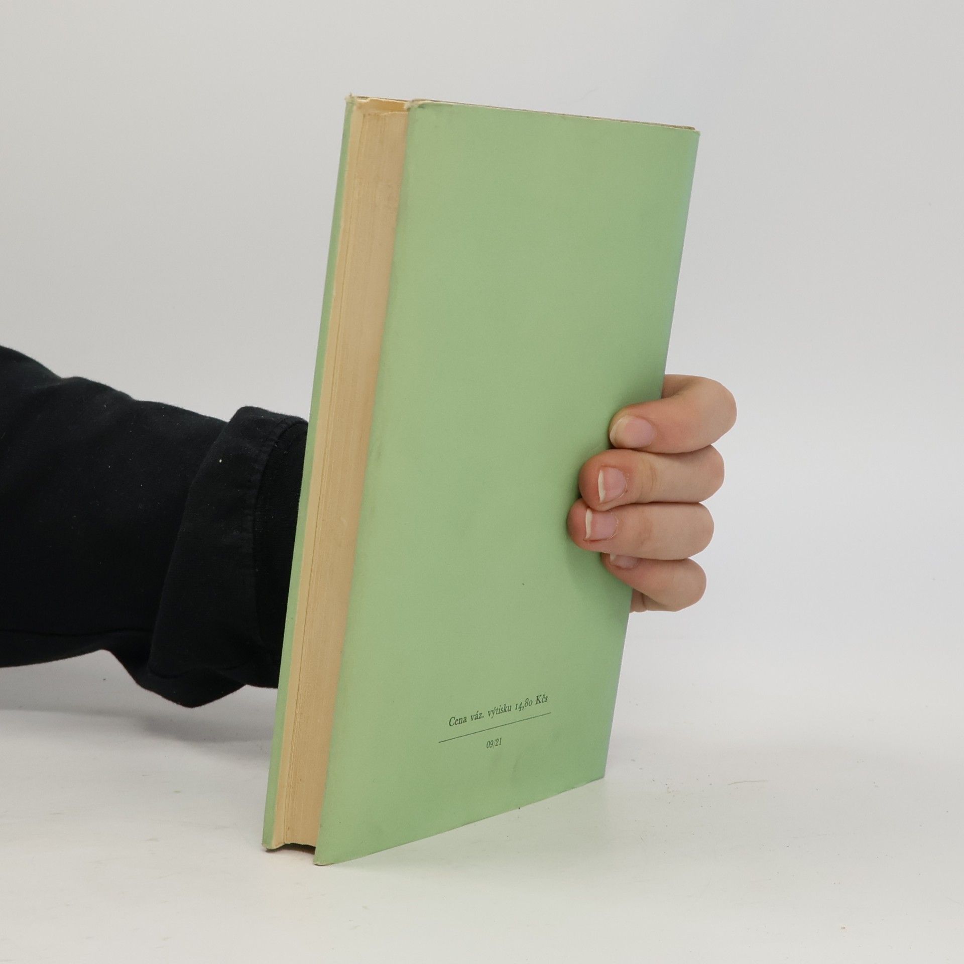 Romain Rolland Beethoven IV. Velká tvůrčí období. Nedokončená katedrála II. Poslední kvartety