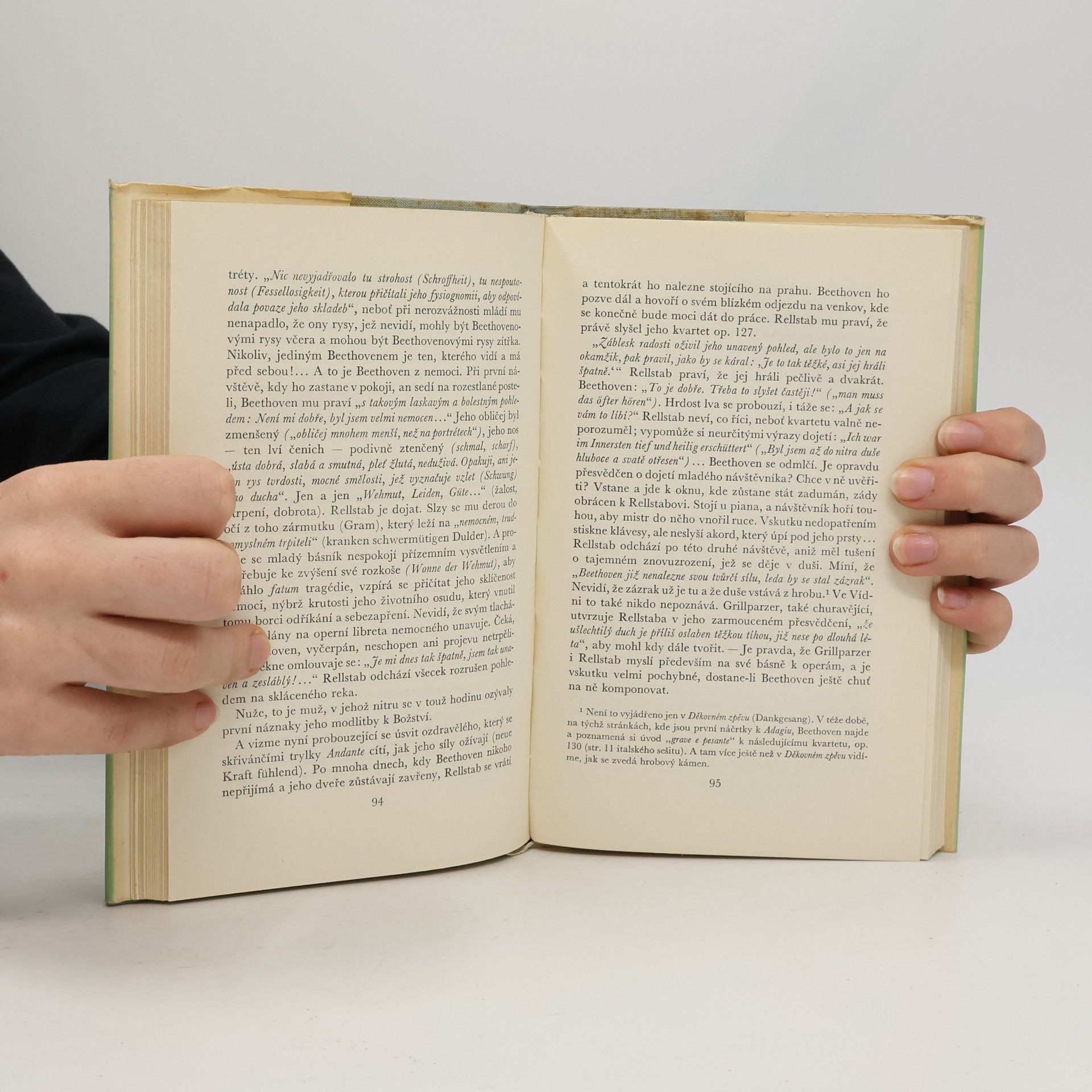 Romain Rolland Beethoven IV. Velká tvůrčí období. Nedokončená katedrála II. Poslední kvartety
