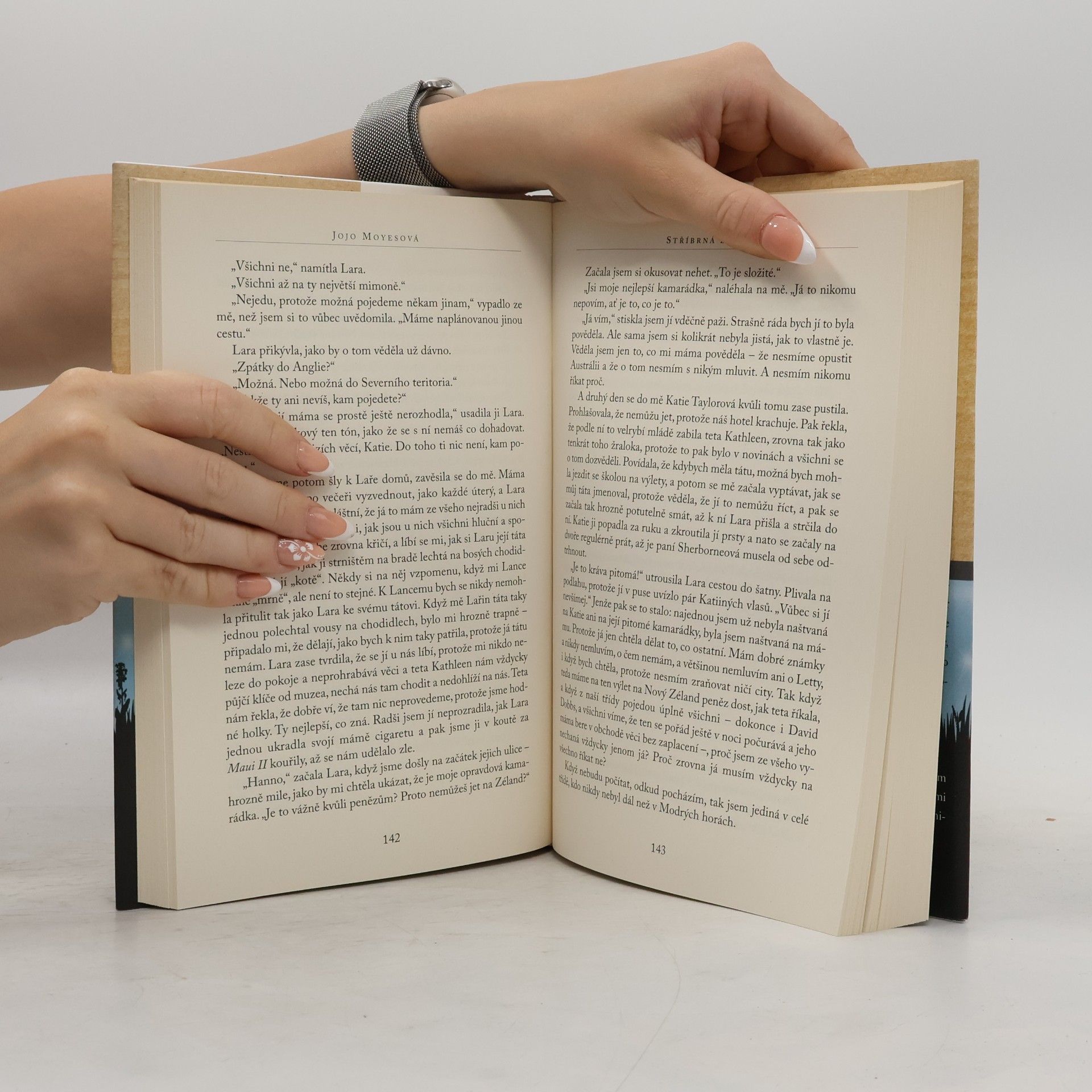 Jojo Moyes Stříbrná zátoka