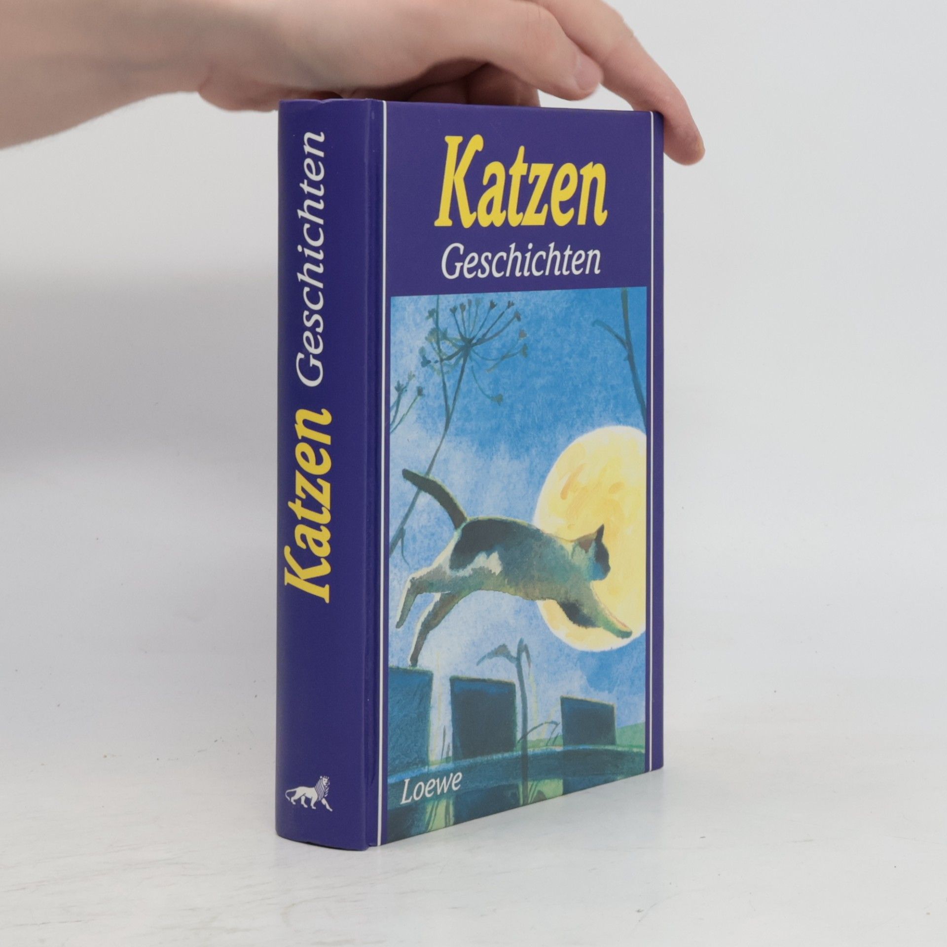 Kolektív autorov Katzengeschichten